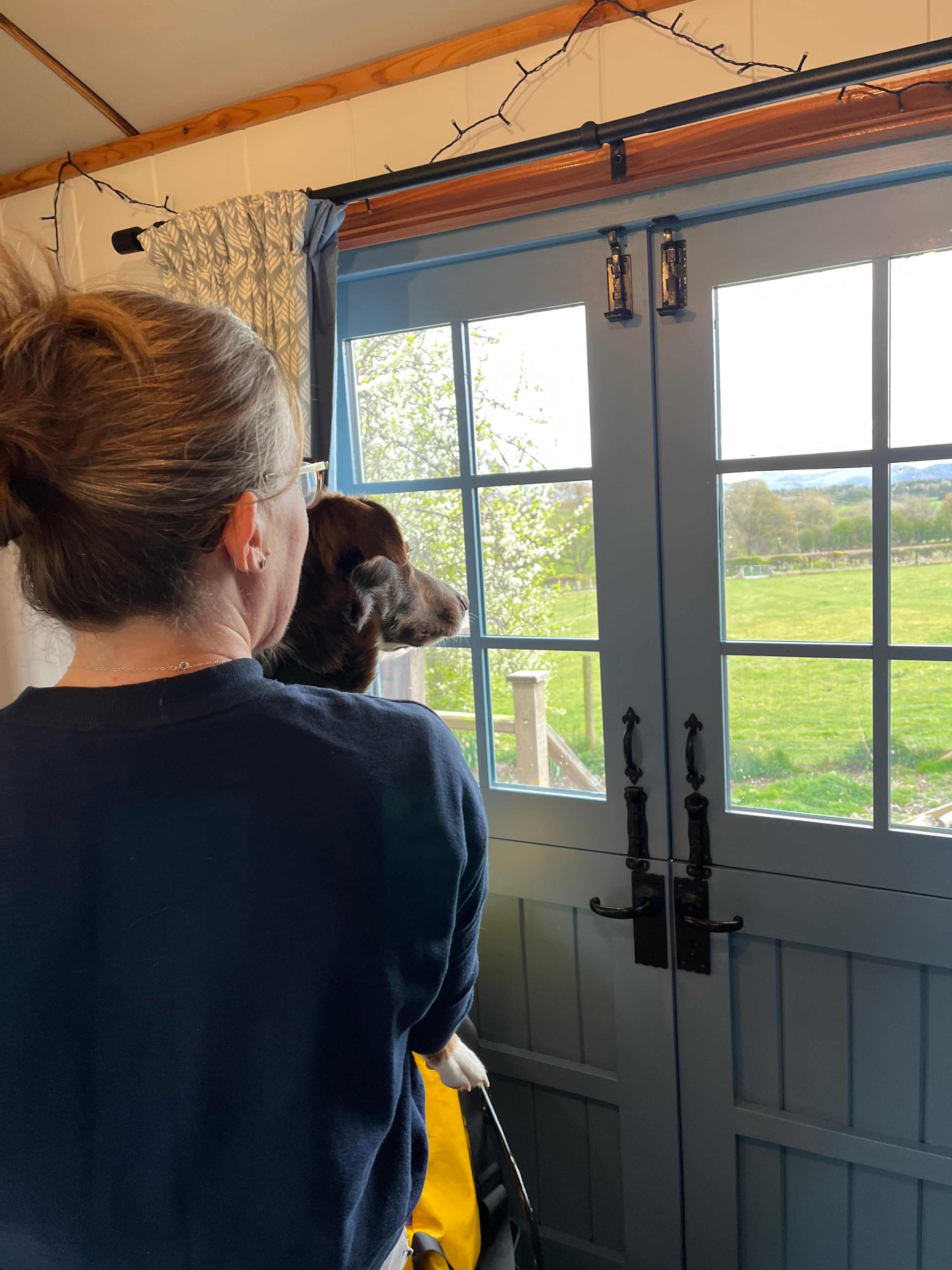 Over-the-Moon Luxury Shepherds Hut