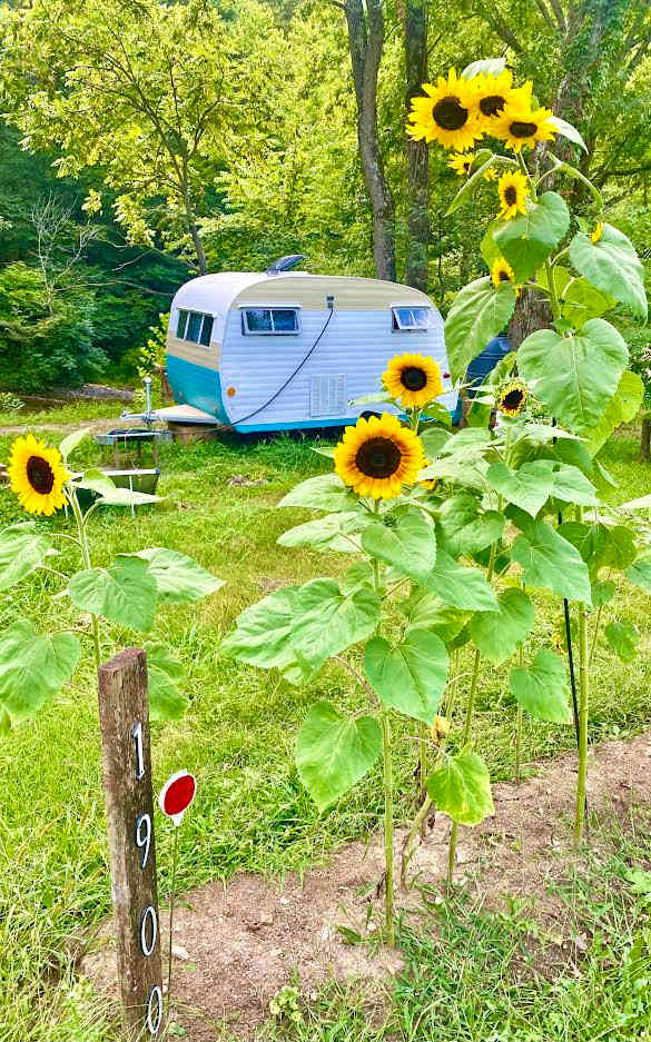 Dry Creek Falls Fish Camp
