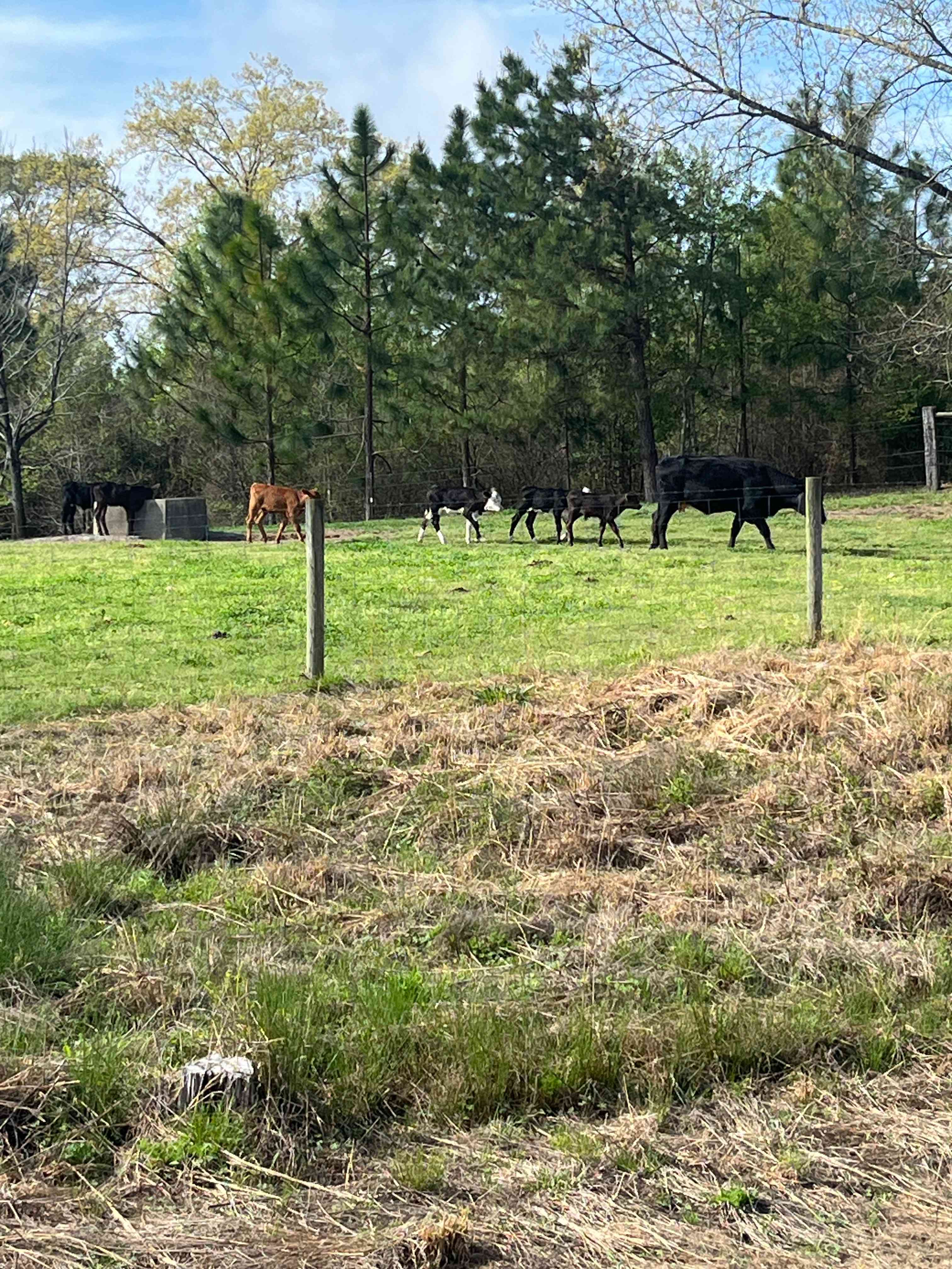 Dennis & Melissa's Hidden Creek