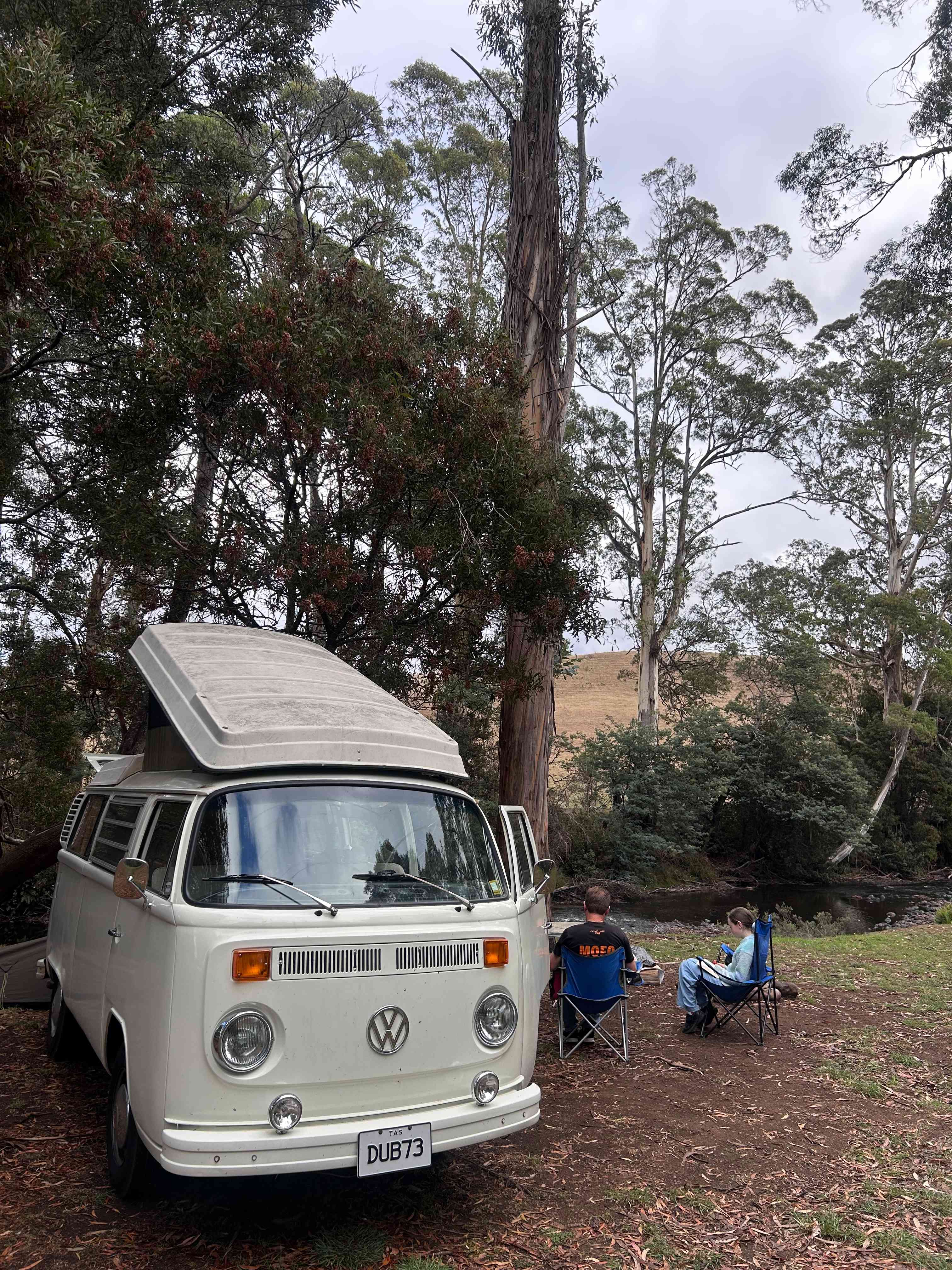 White Kombi parked in front of tall trees