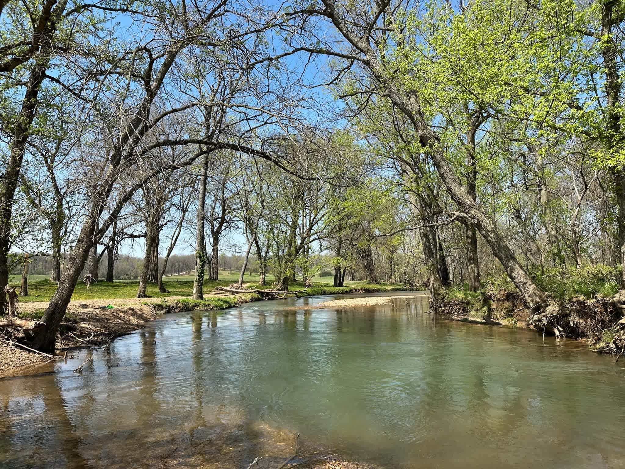 One small part of the creek. Beautiful cold water. 
