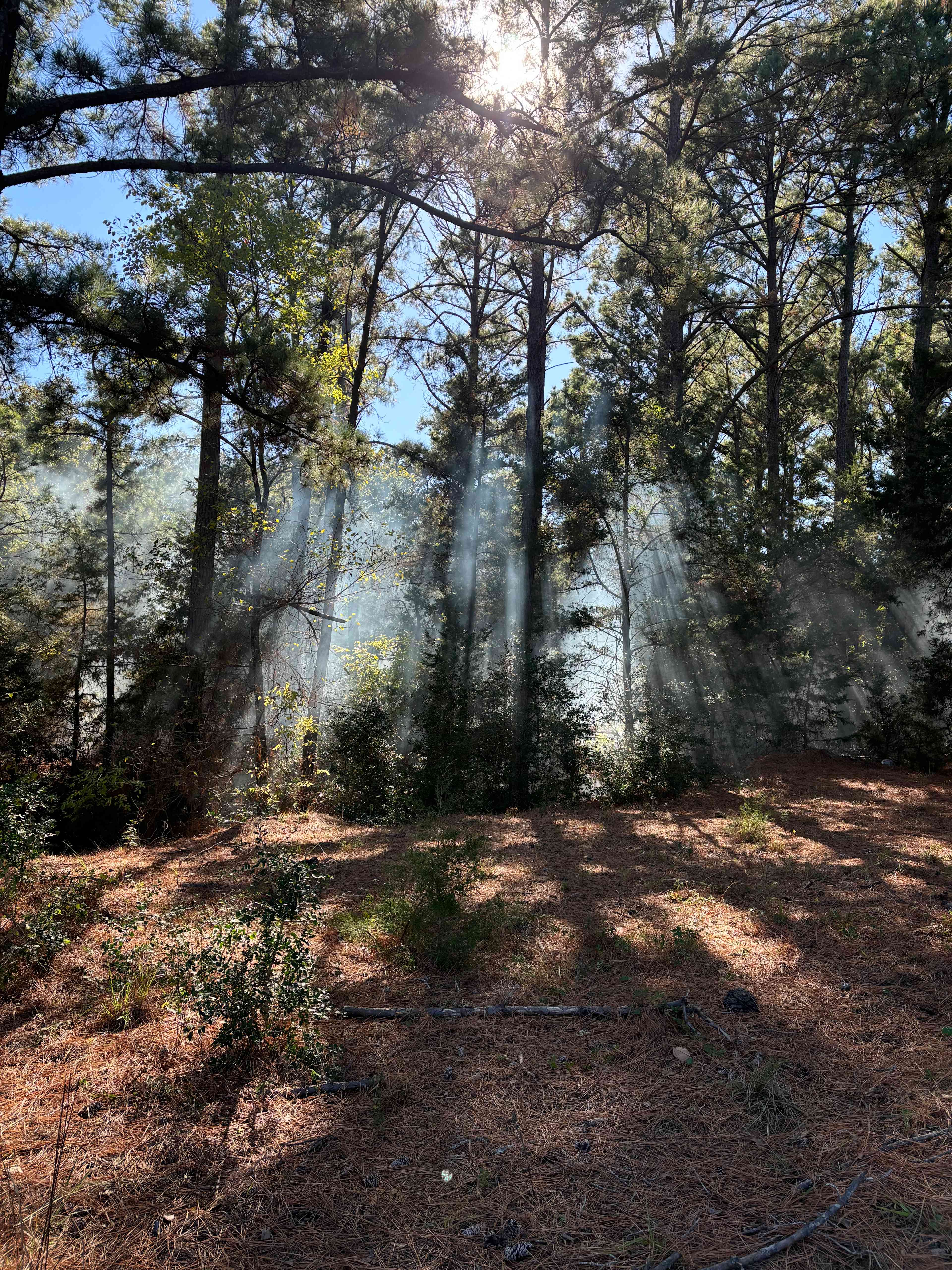 Alchemy Ranch