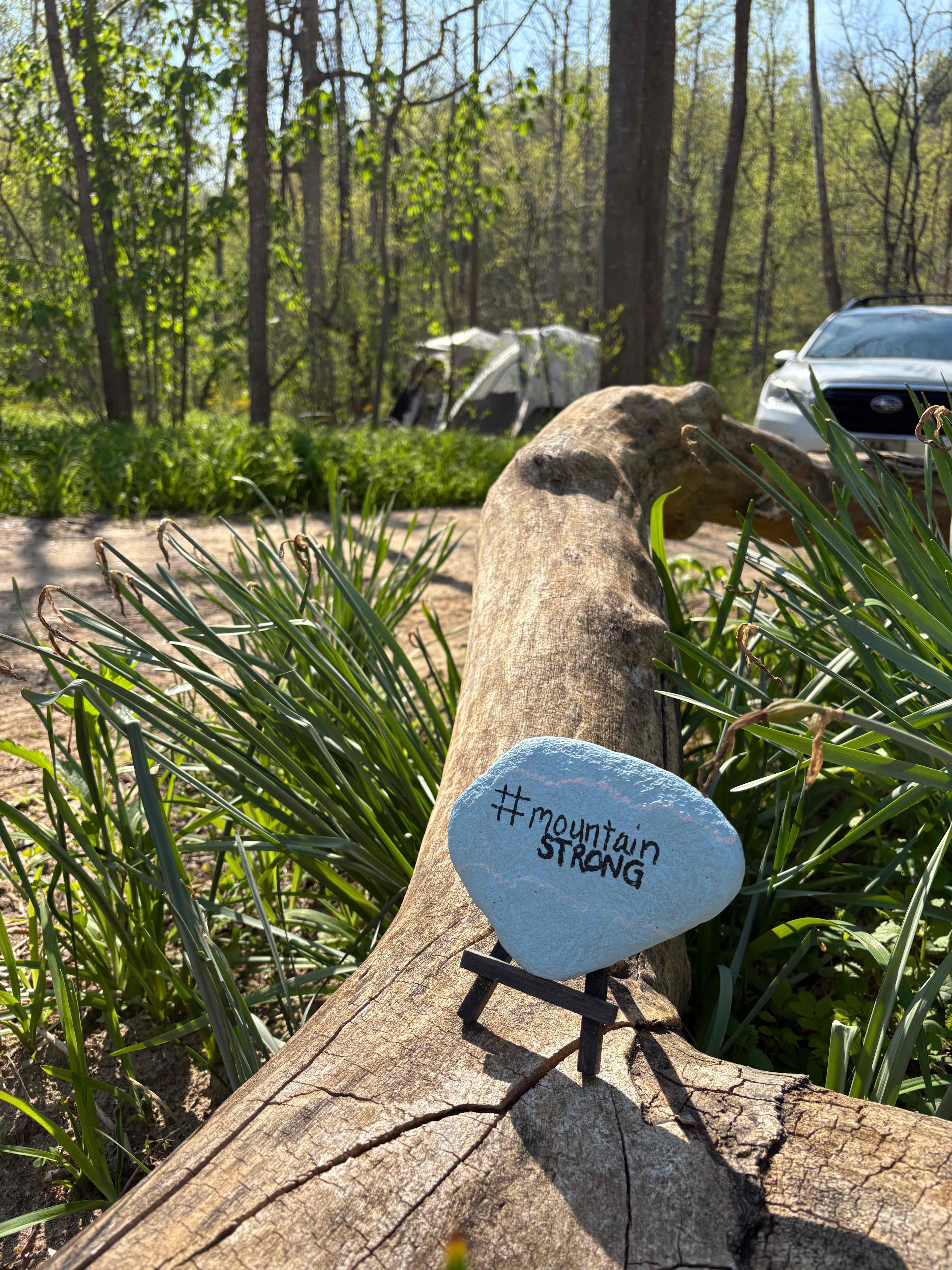 TangleWood Creekside Campsites