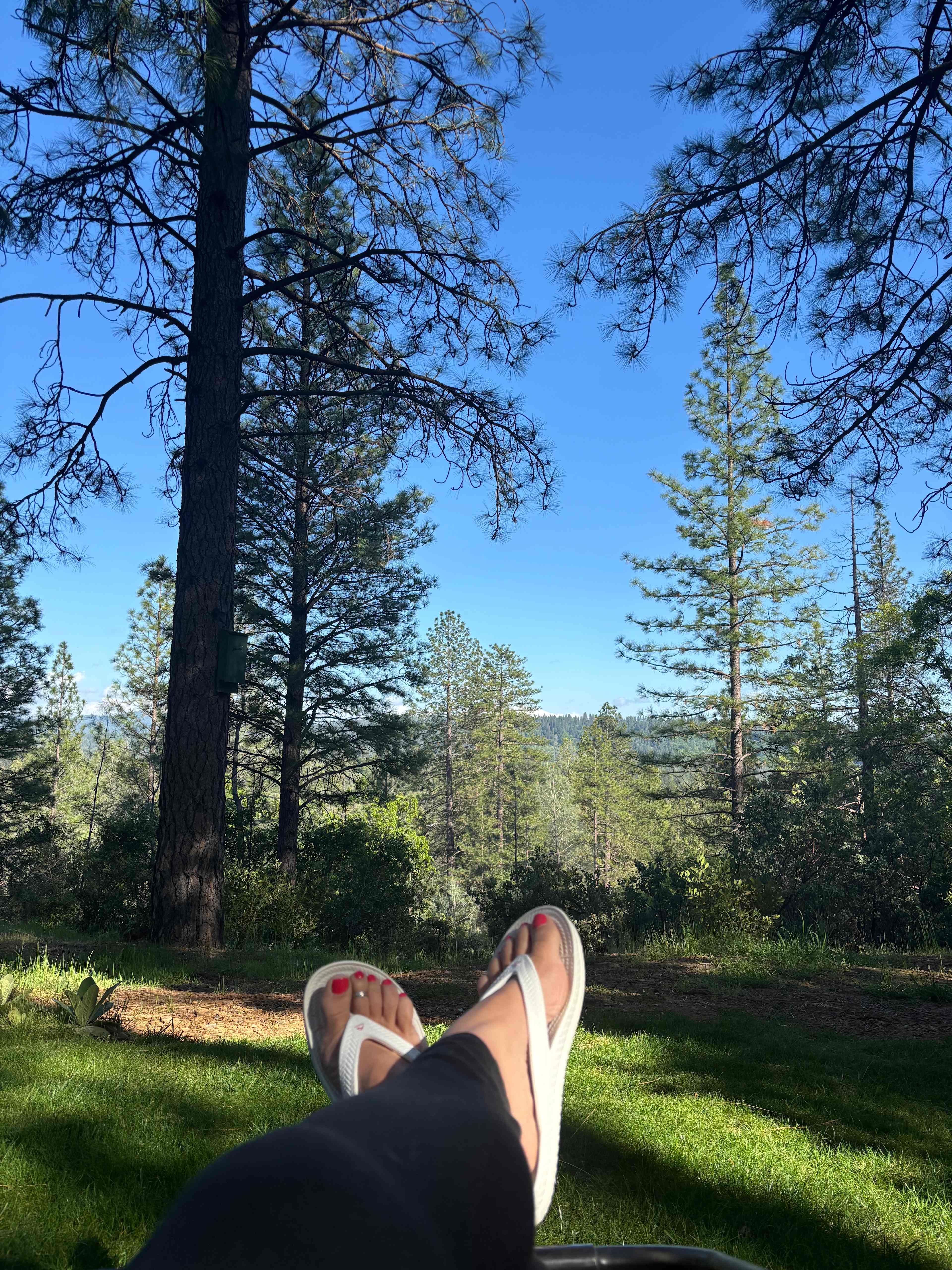 What a view 