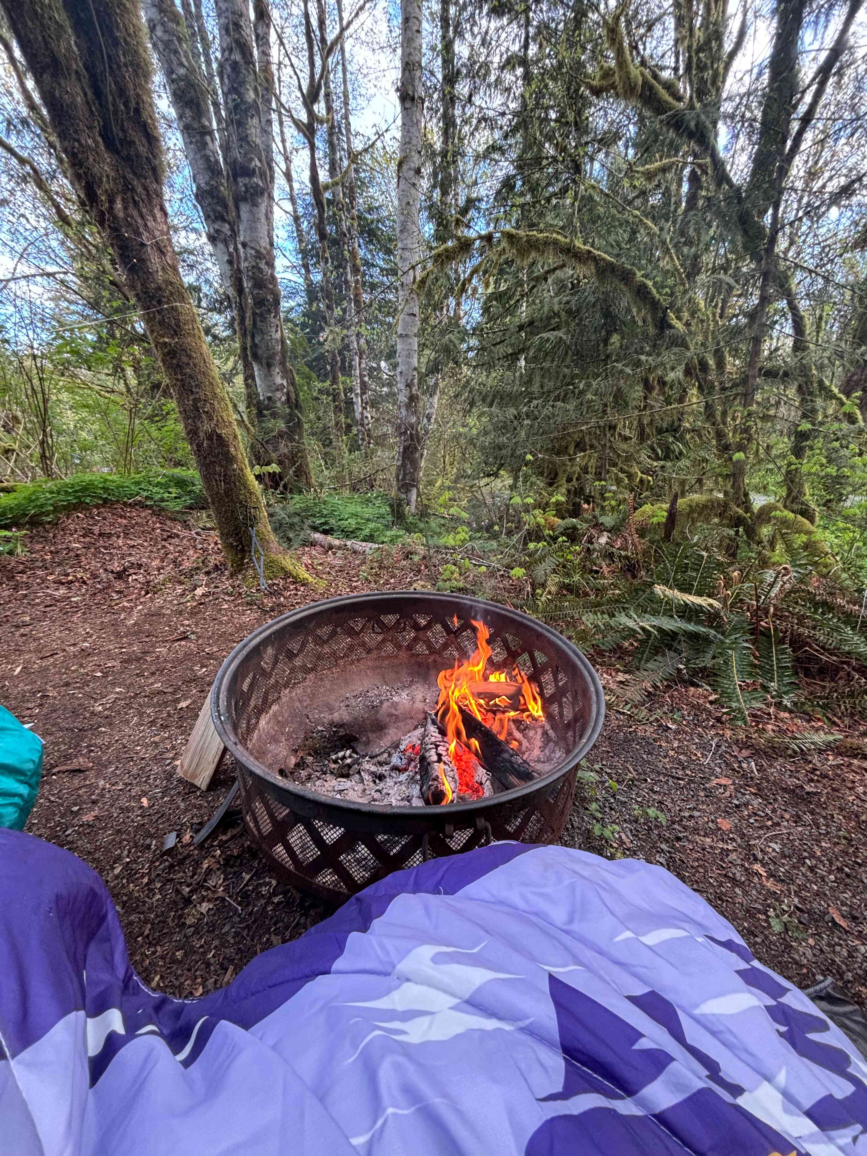 Camp Keyser Forest Camp