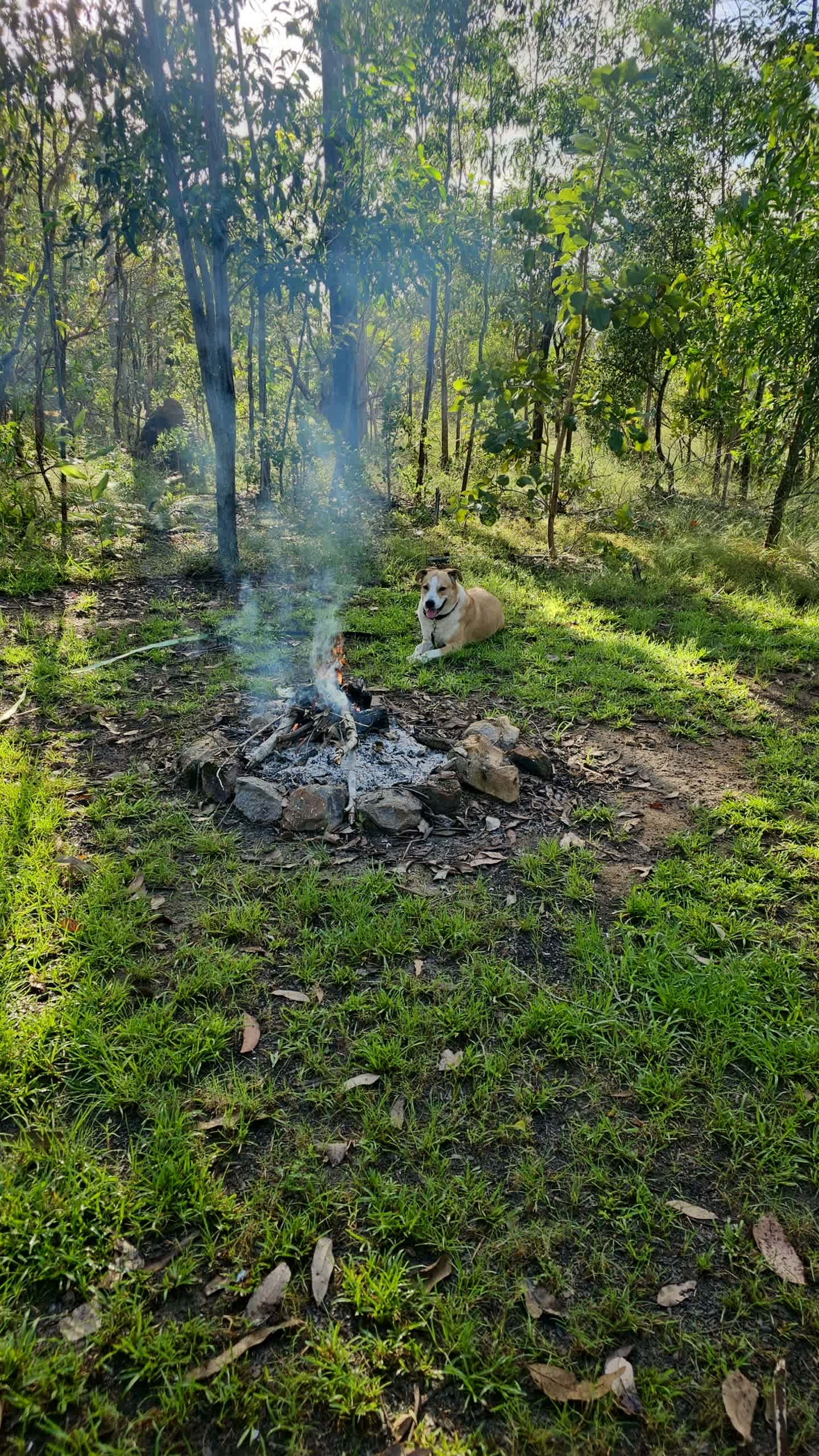 Camp 2
