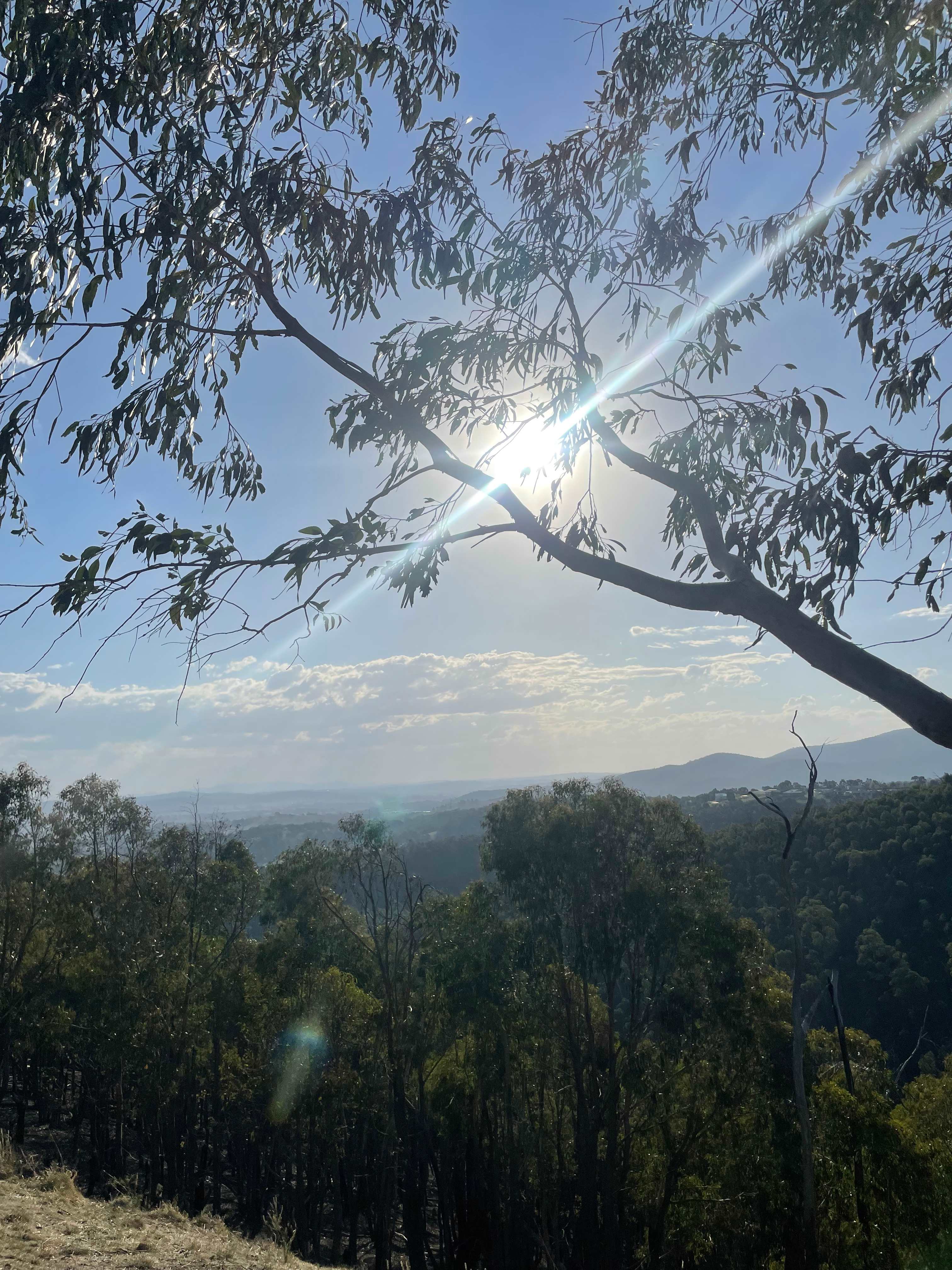 Magic Mountain