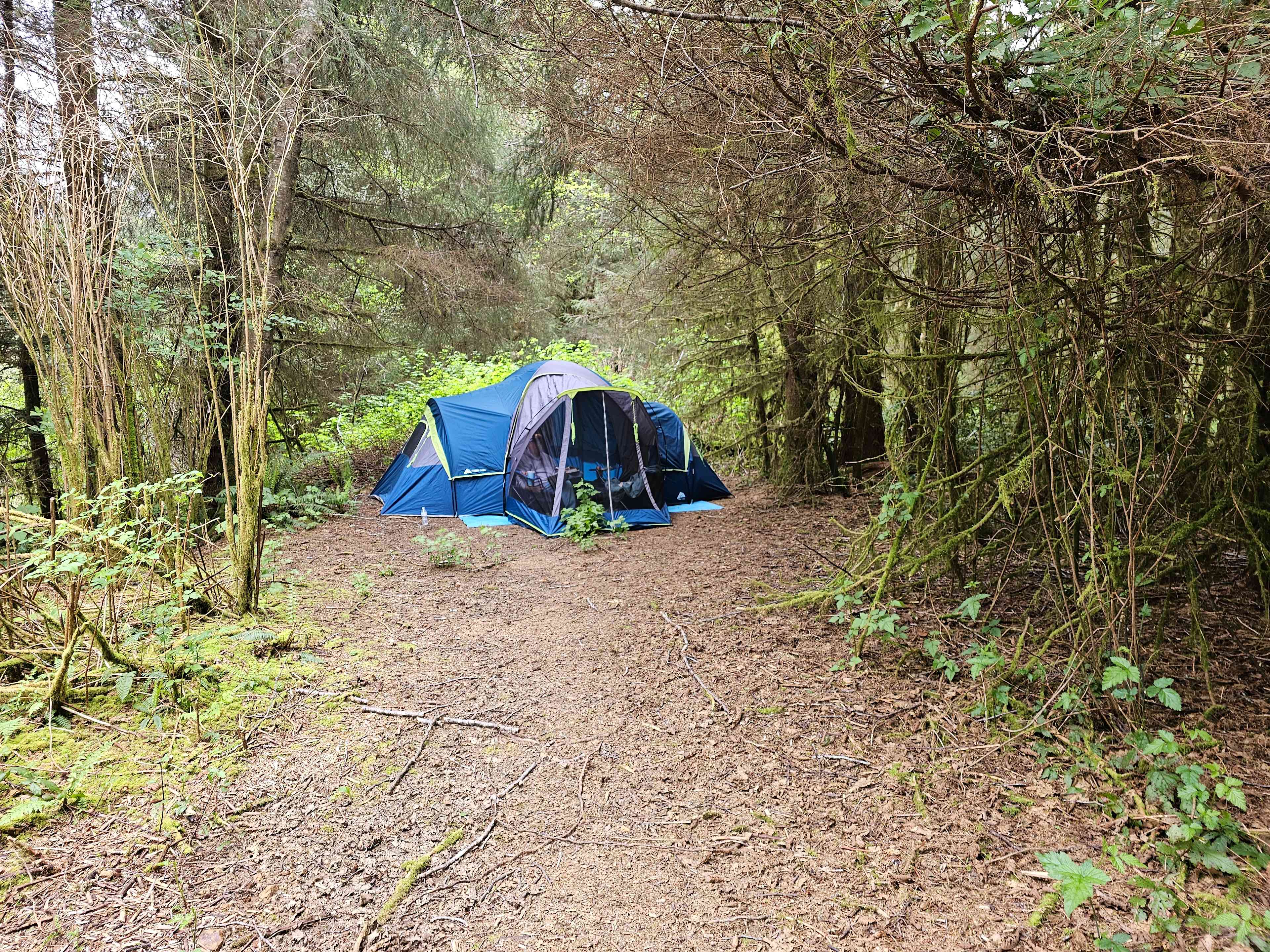 Mystic Forest Campground