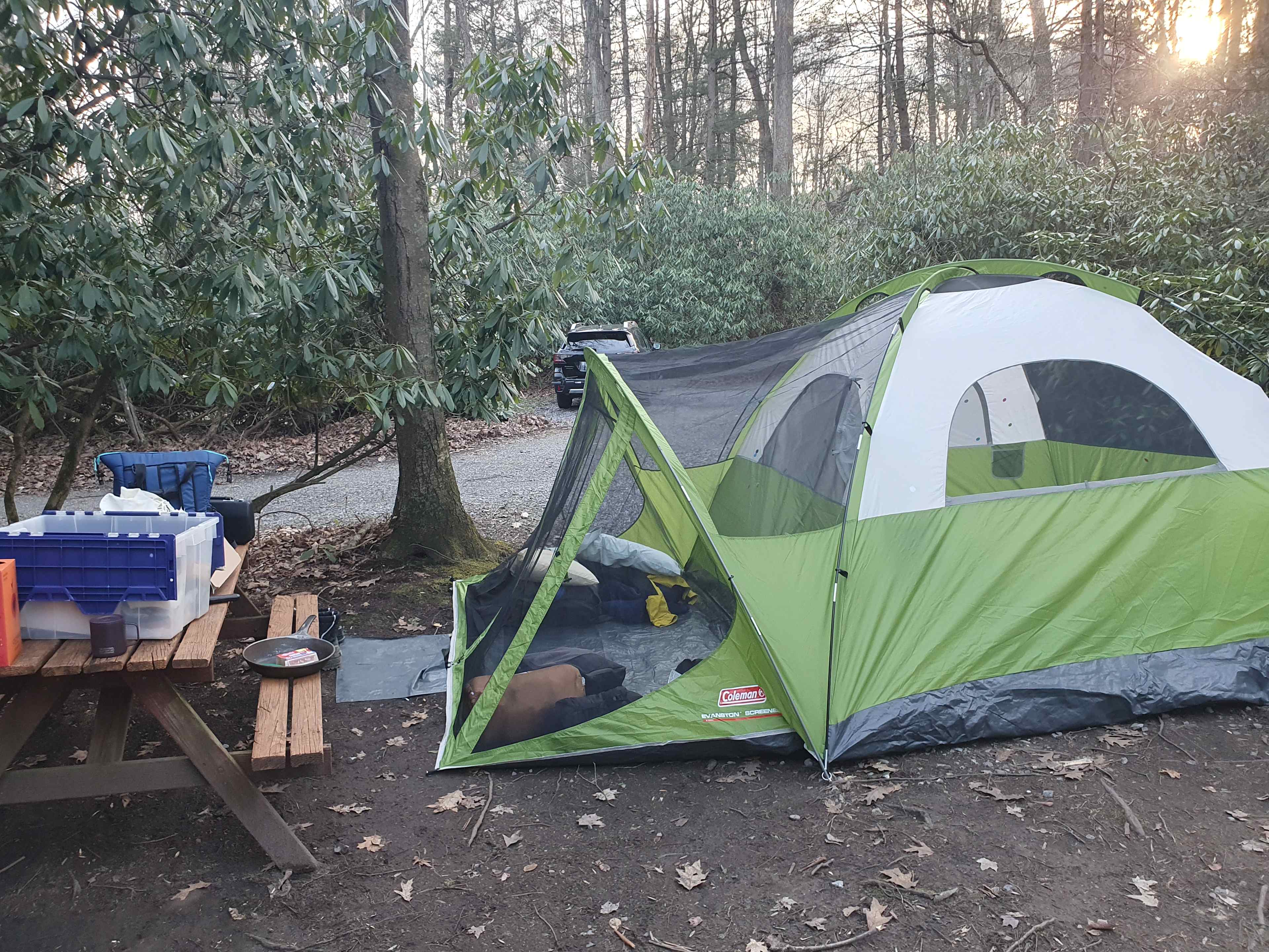 Bald Eagle Campsite
