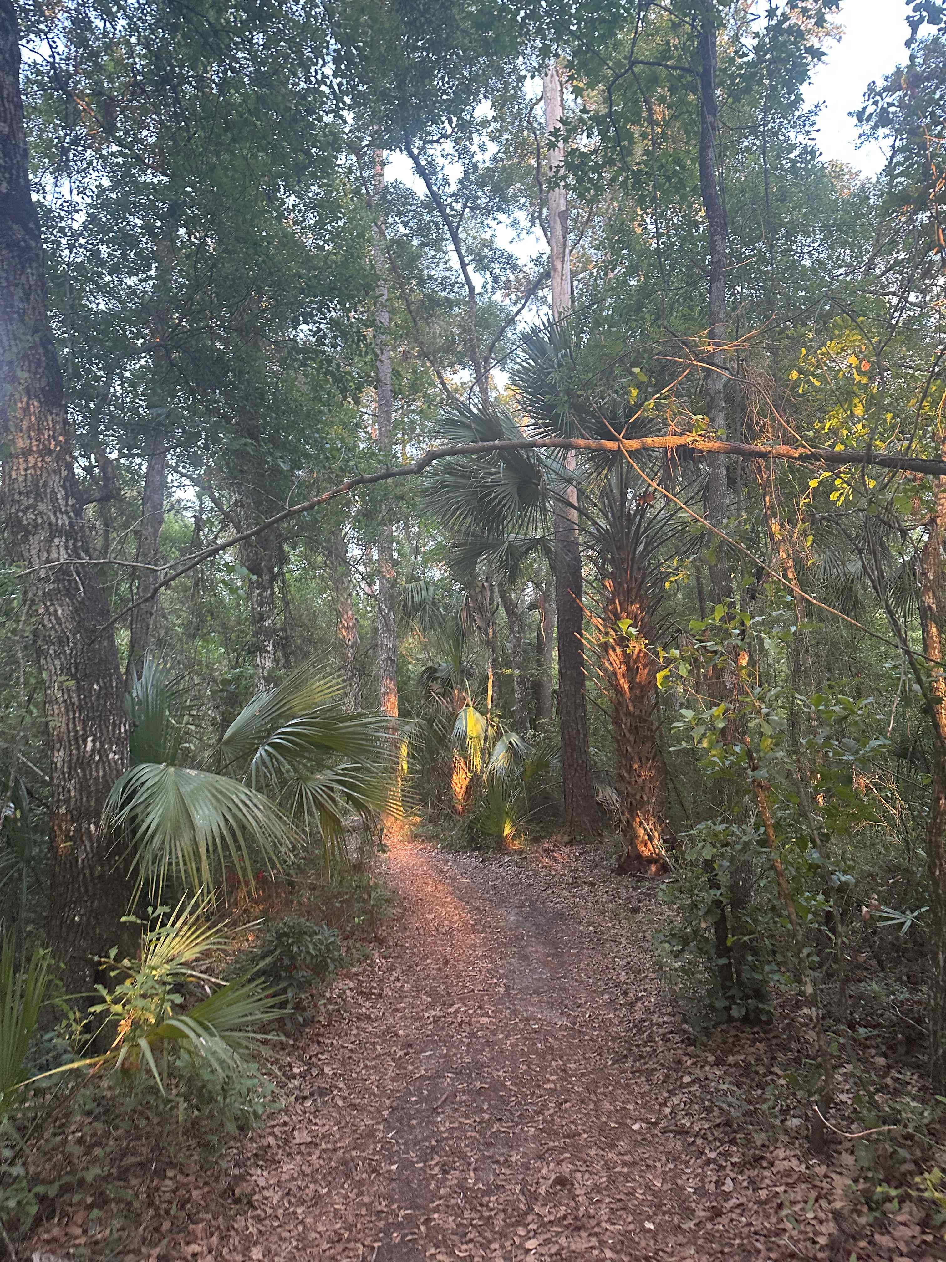 Smokey Acres
