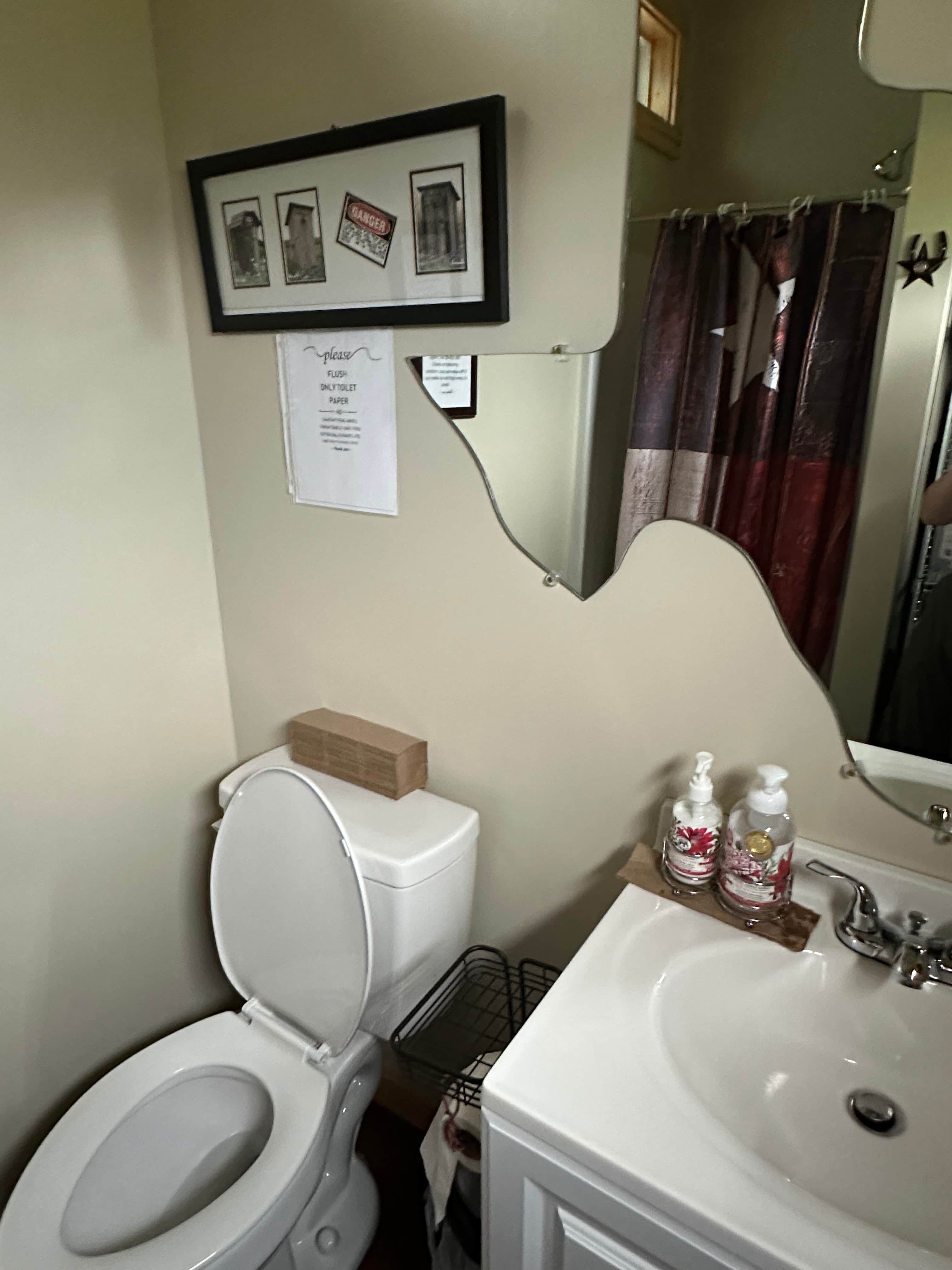 Flush toilet and hot shower 