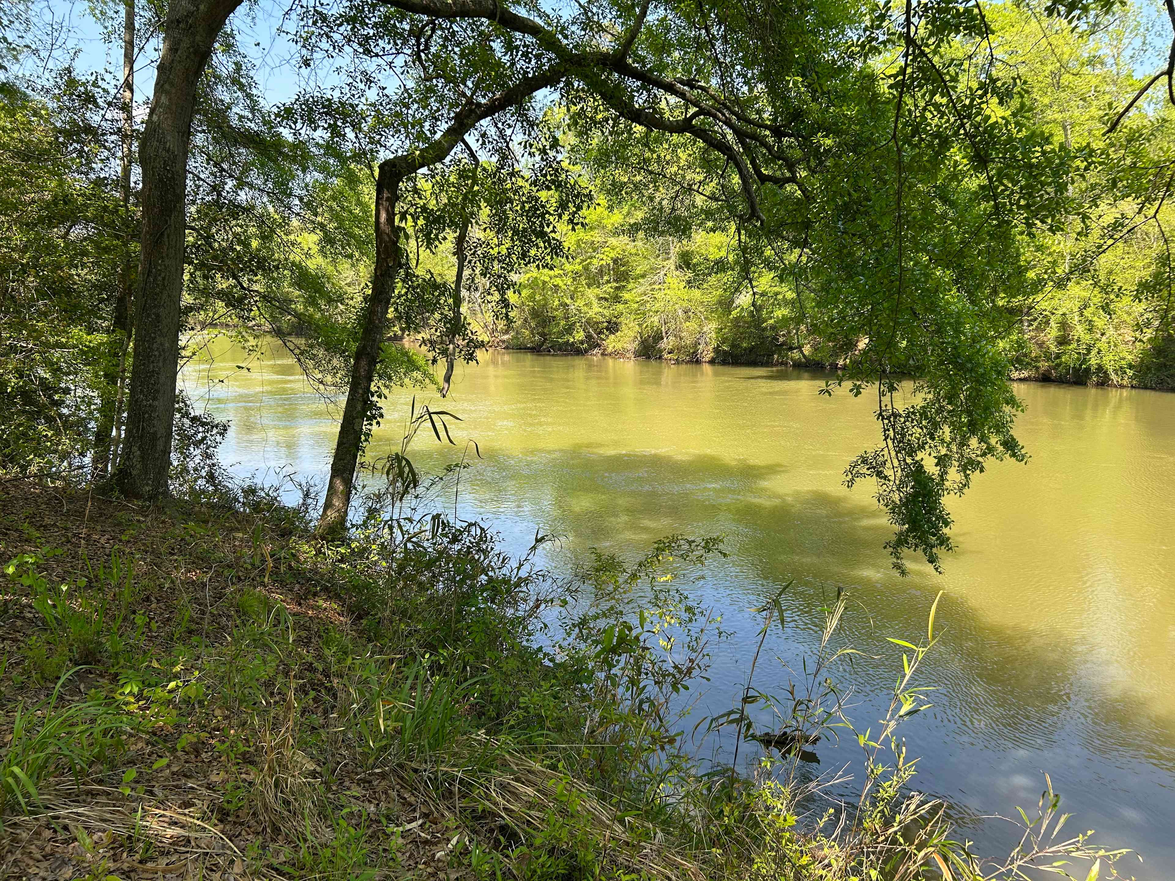 Serenity on the Saluda
