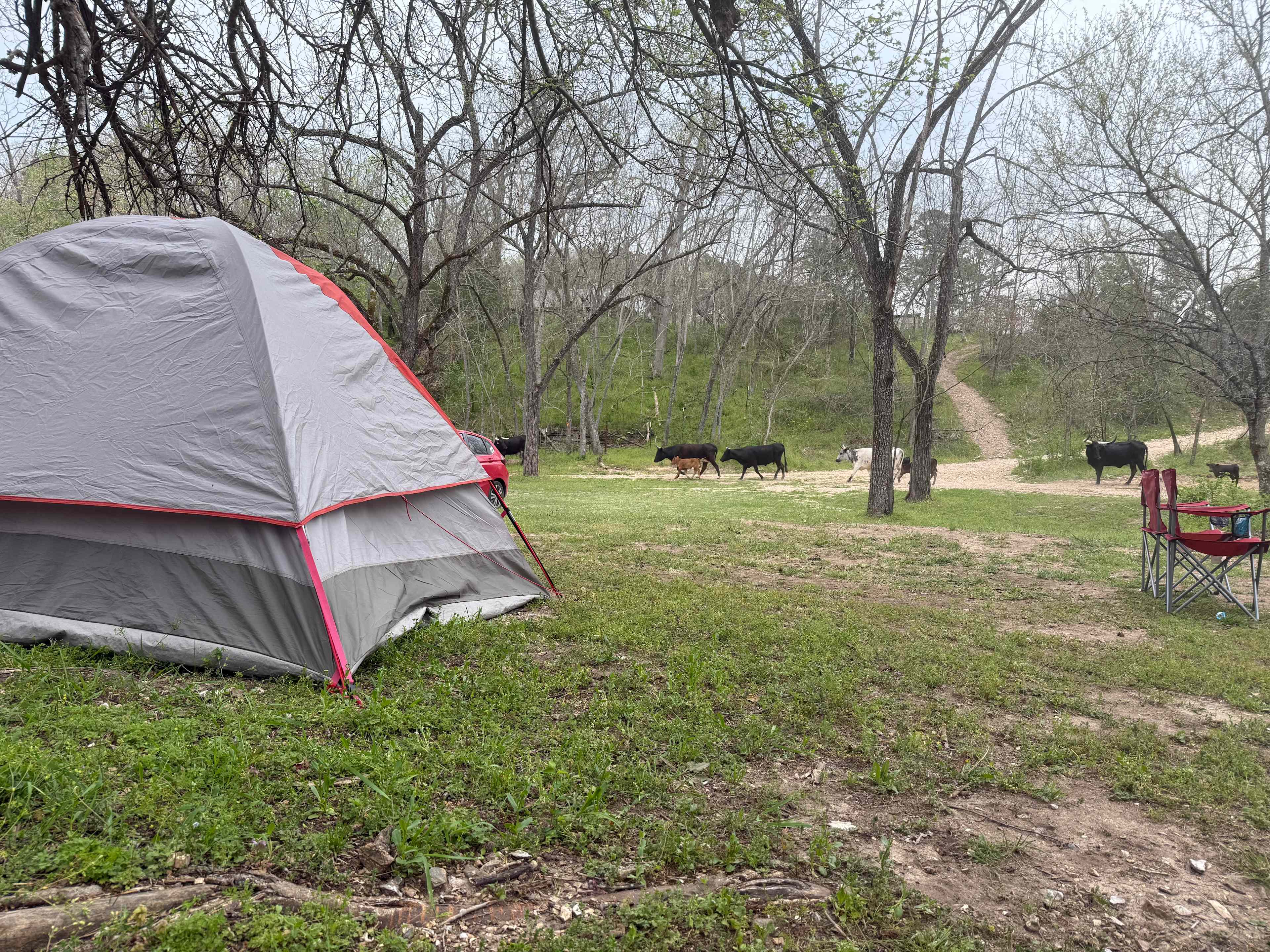 Creekside Camping at Rocky Acres