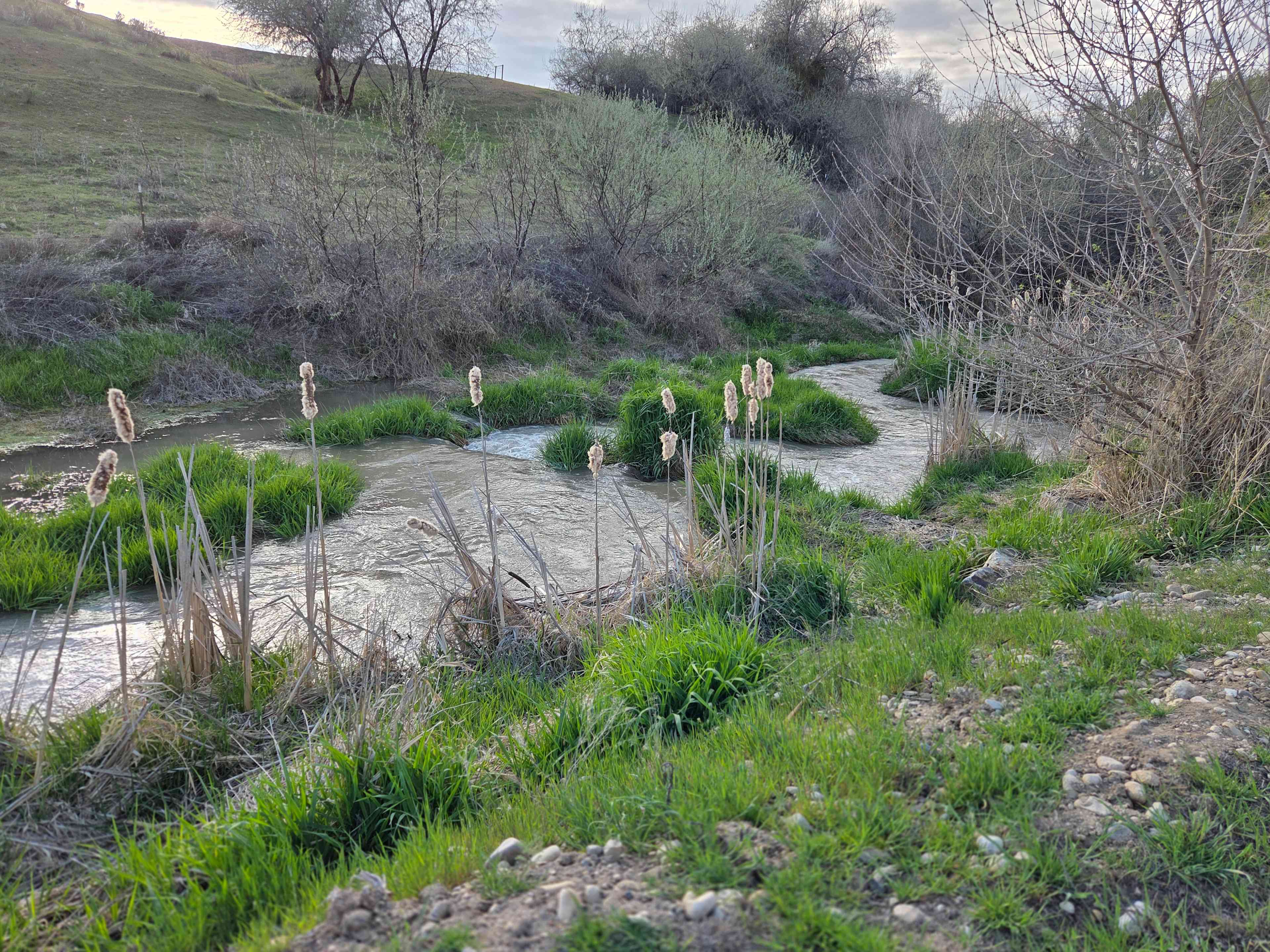 The canal by the Willow & Aspen campsite
