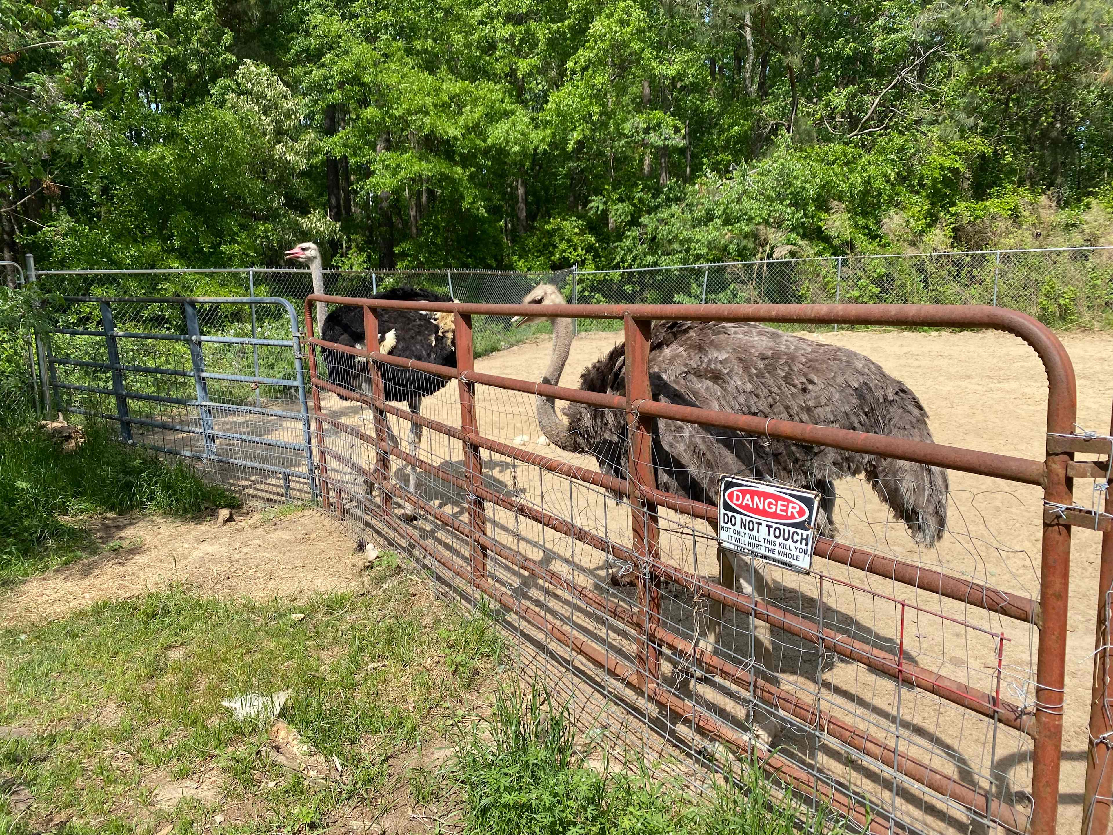 Animal Sanctuary and Peace Park