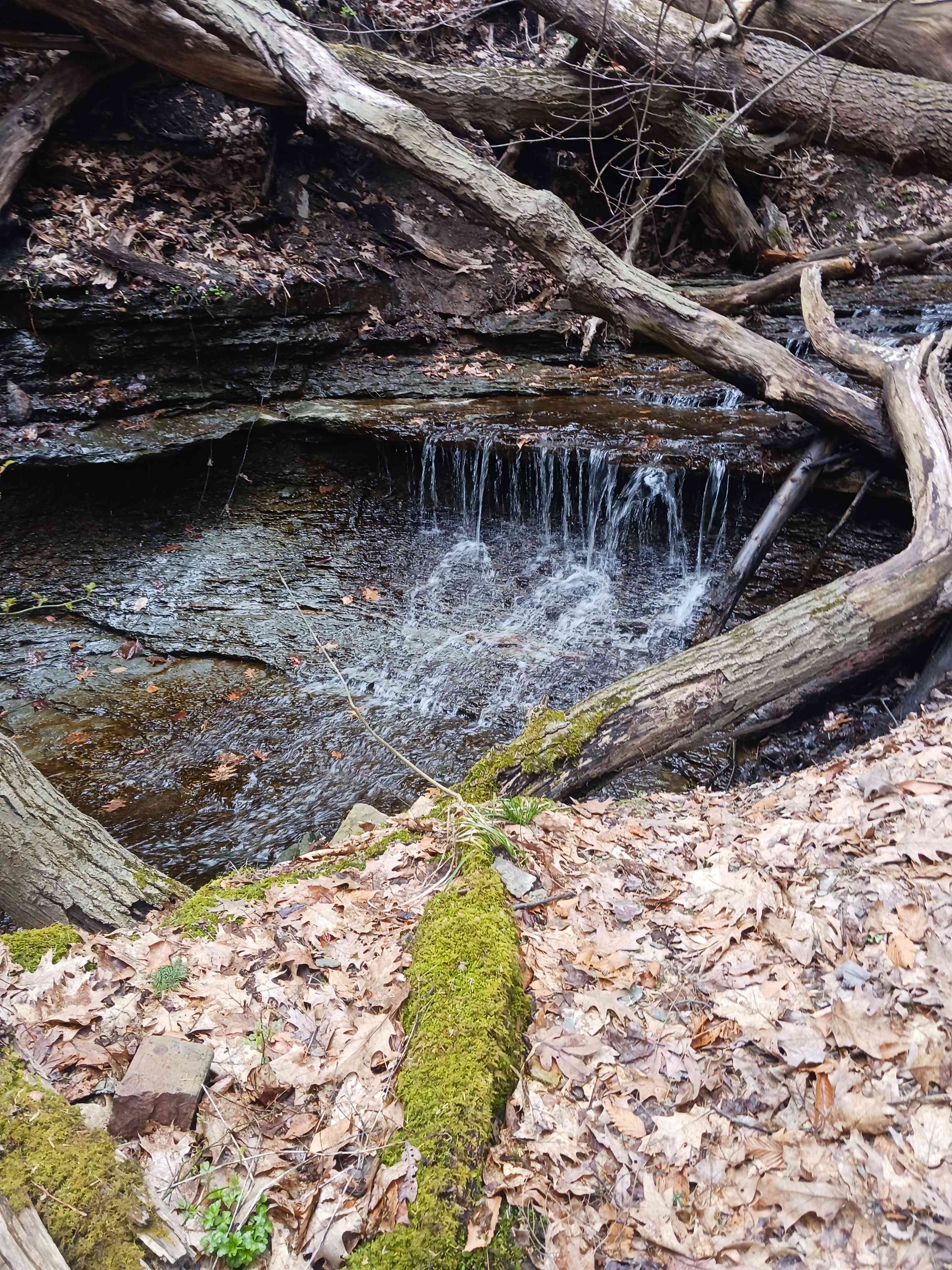 Hemlock Hideaway