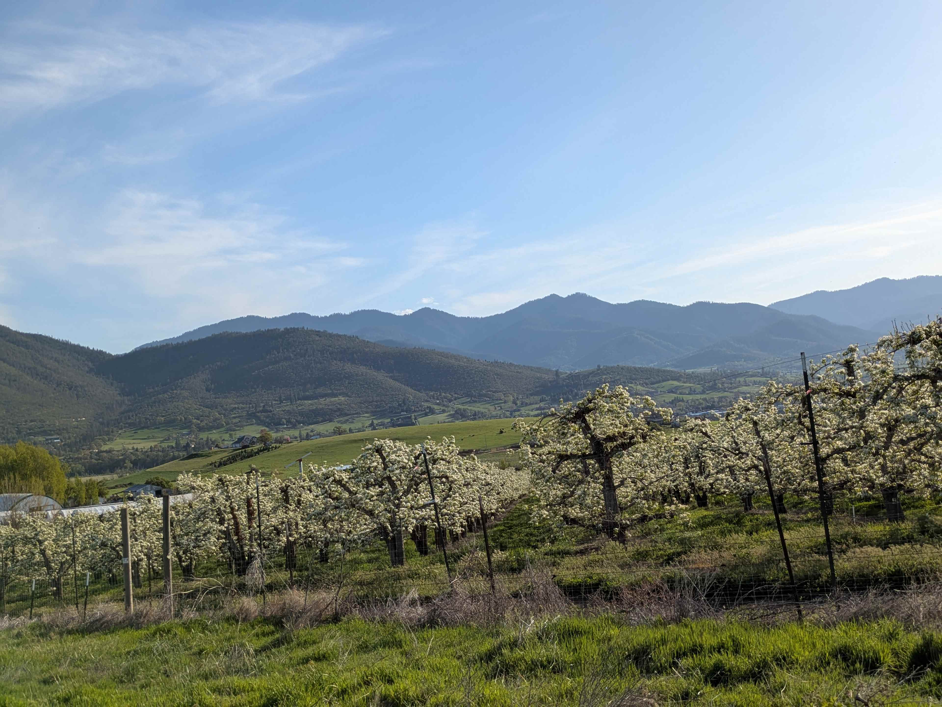 Mindful Earth Farm
