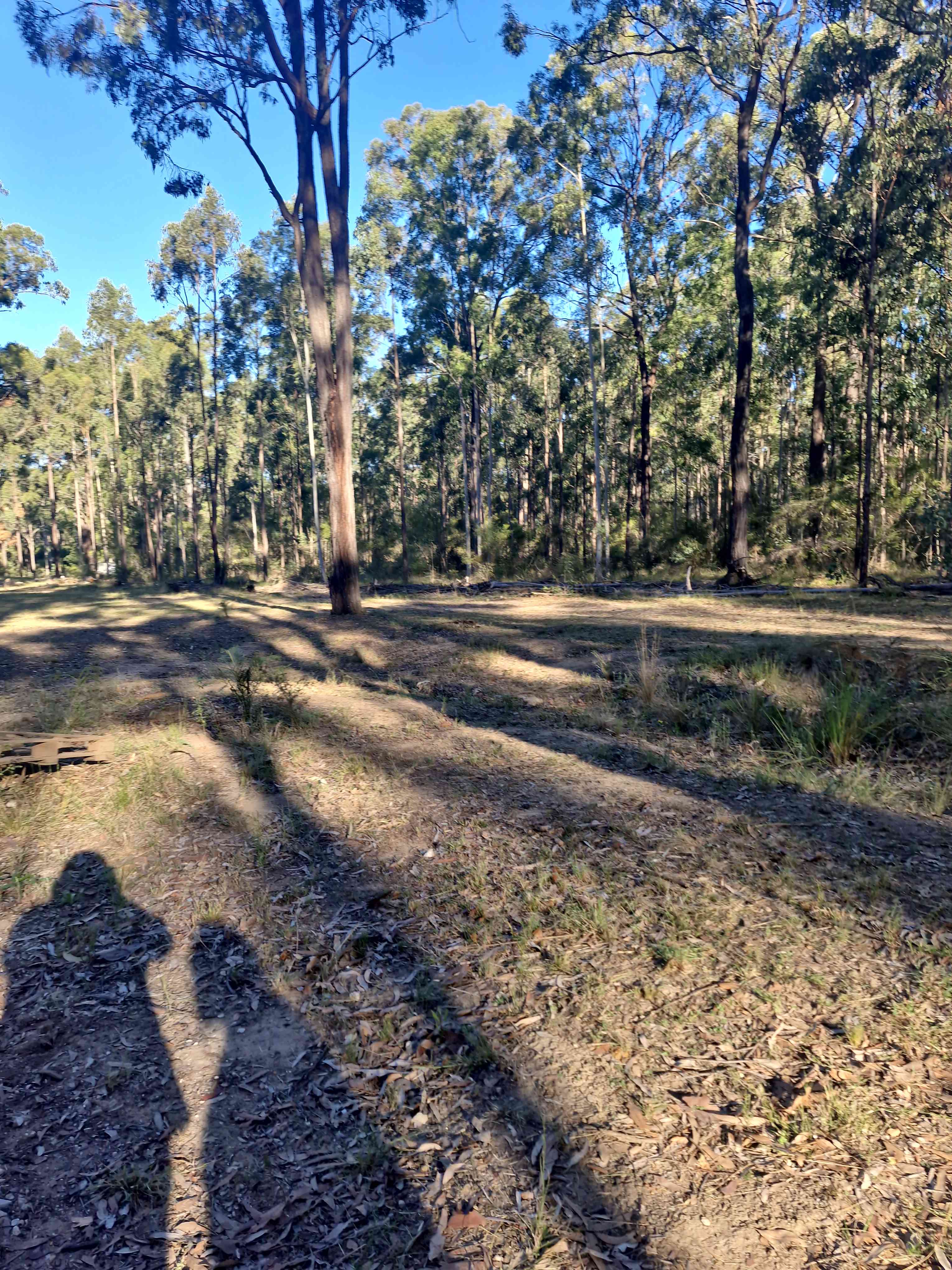 Ironbark Down