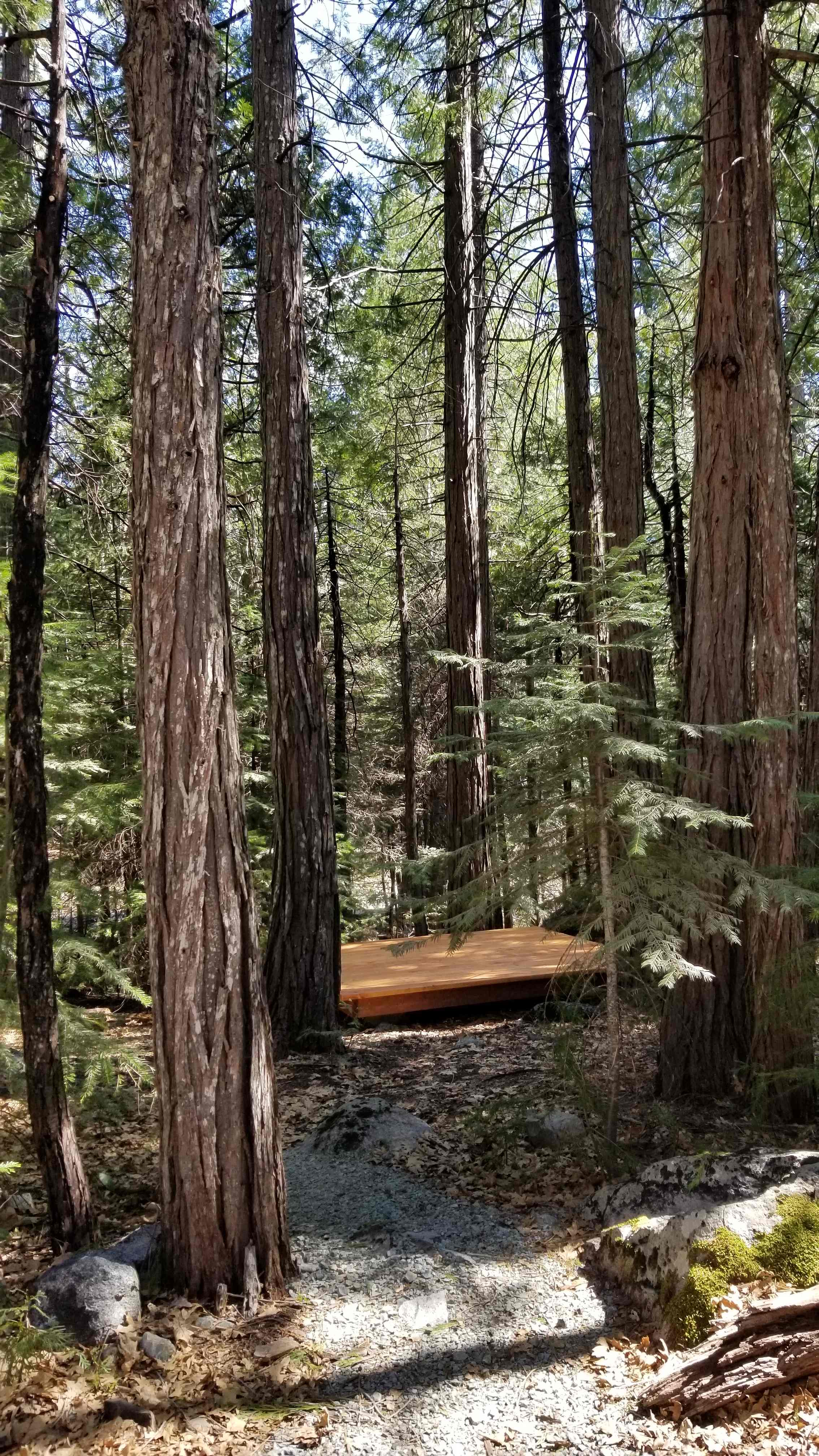 Bright Bear Camp in Tahoe NF