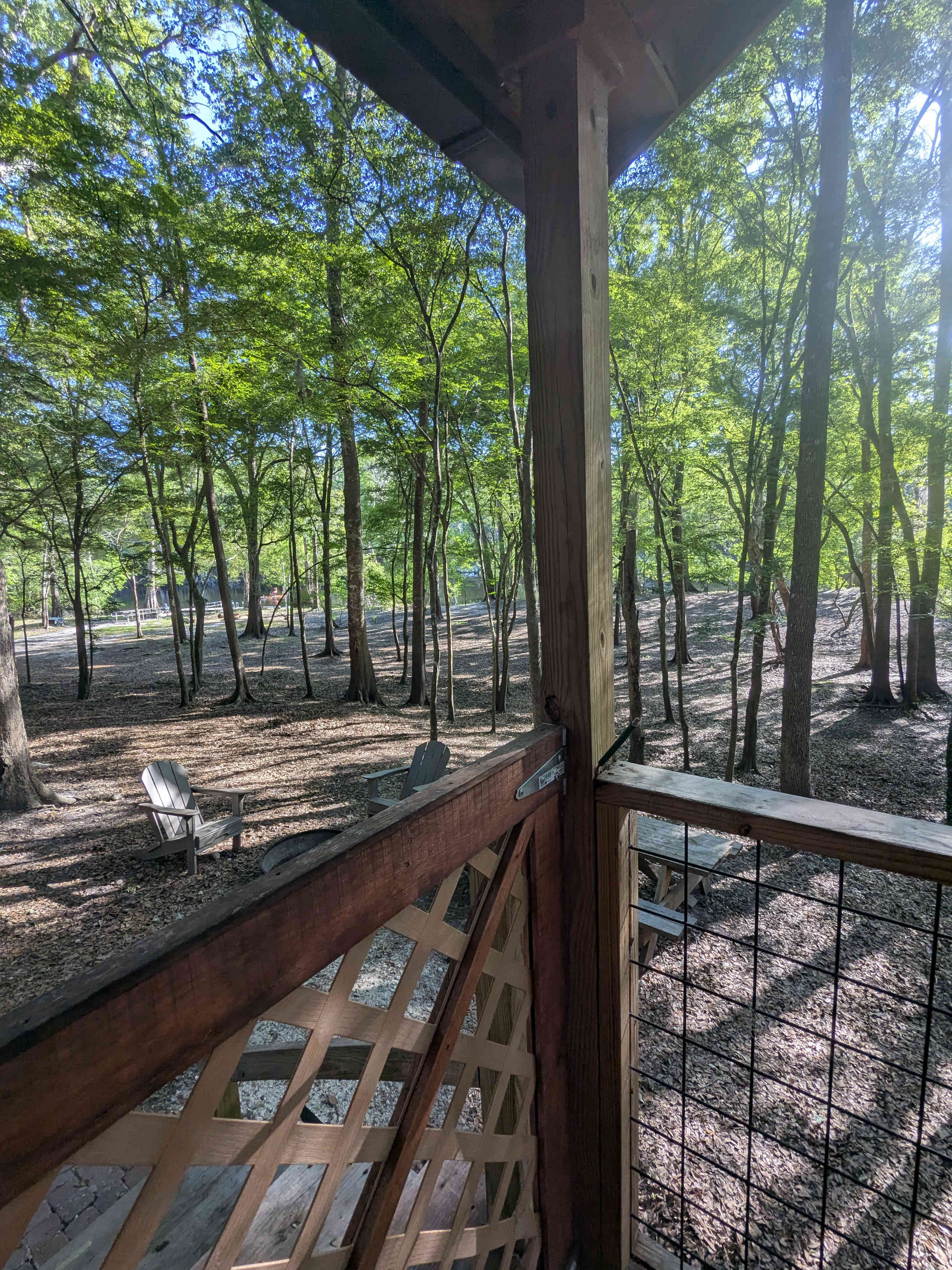 View from our back porch