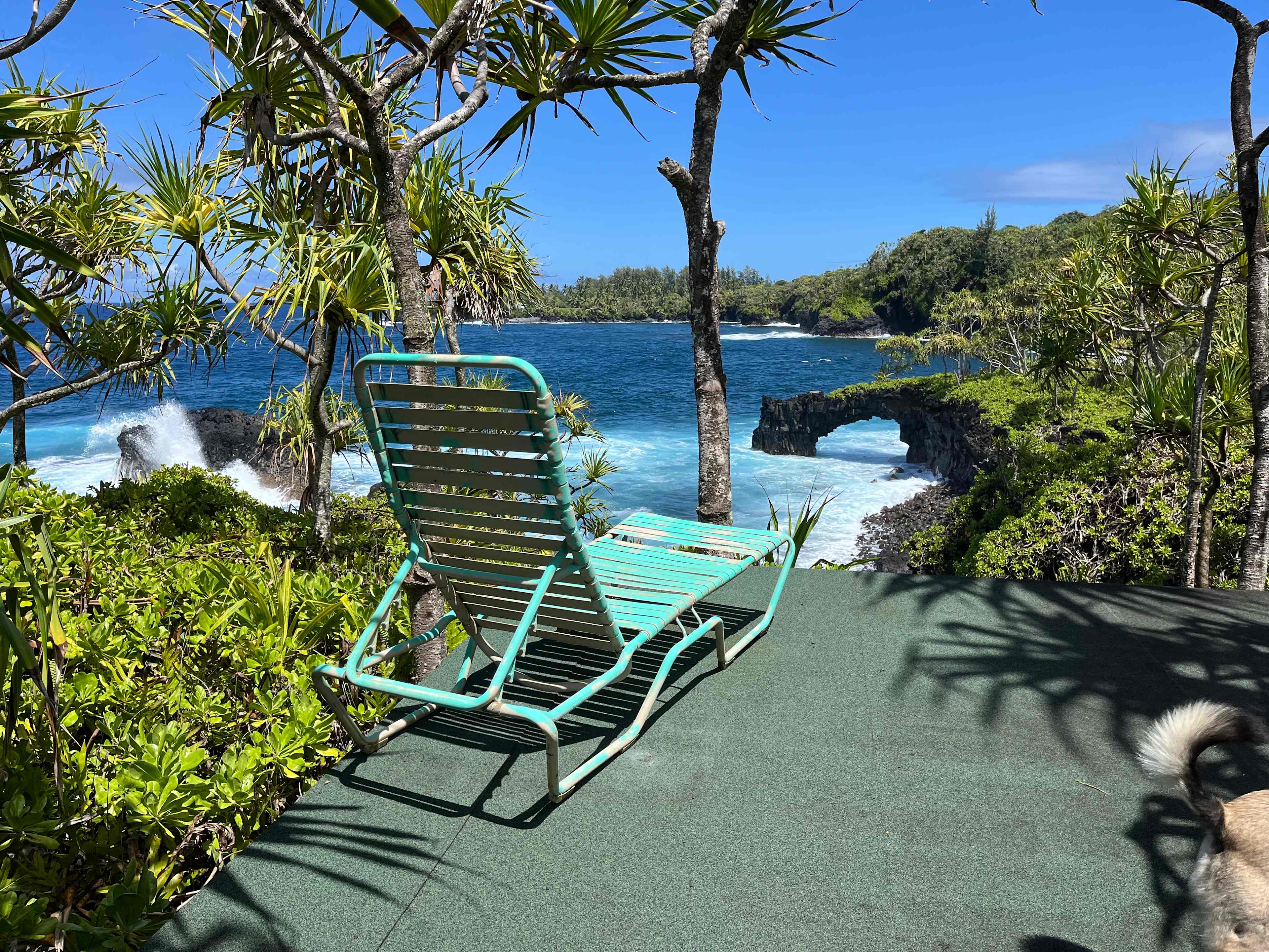 Untouched Hawaiian Land