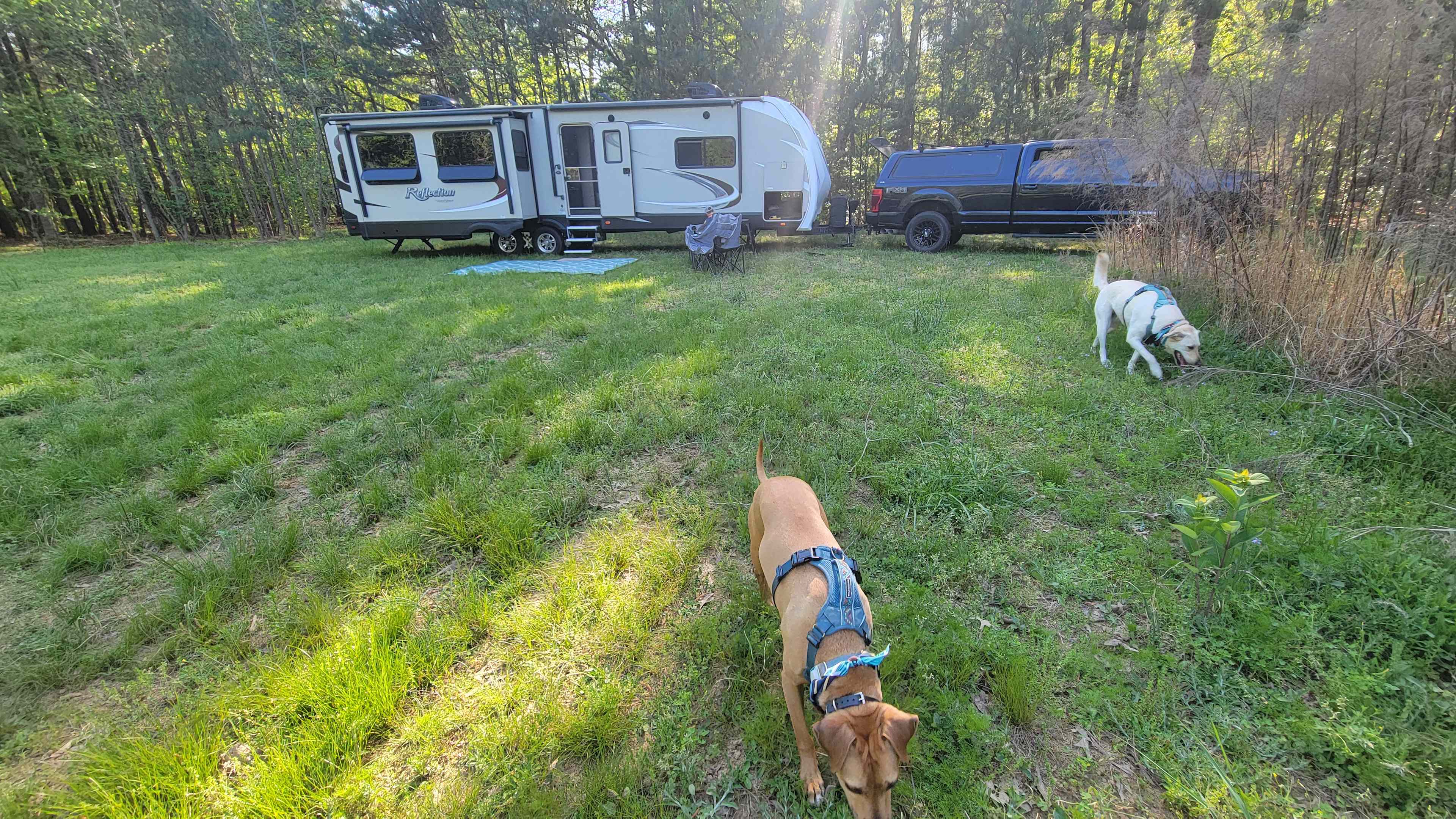 Rural Chapel Hill Forestry Stay