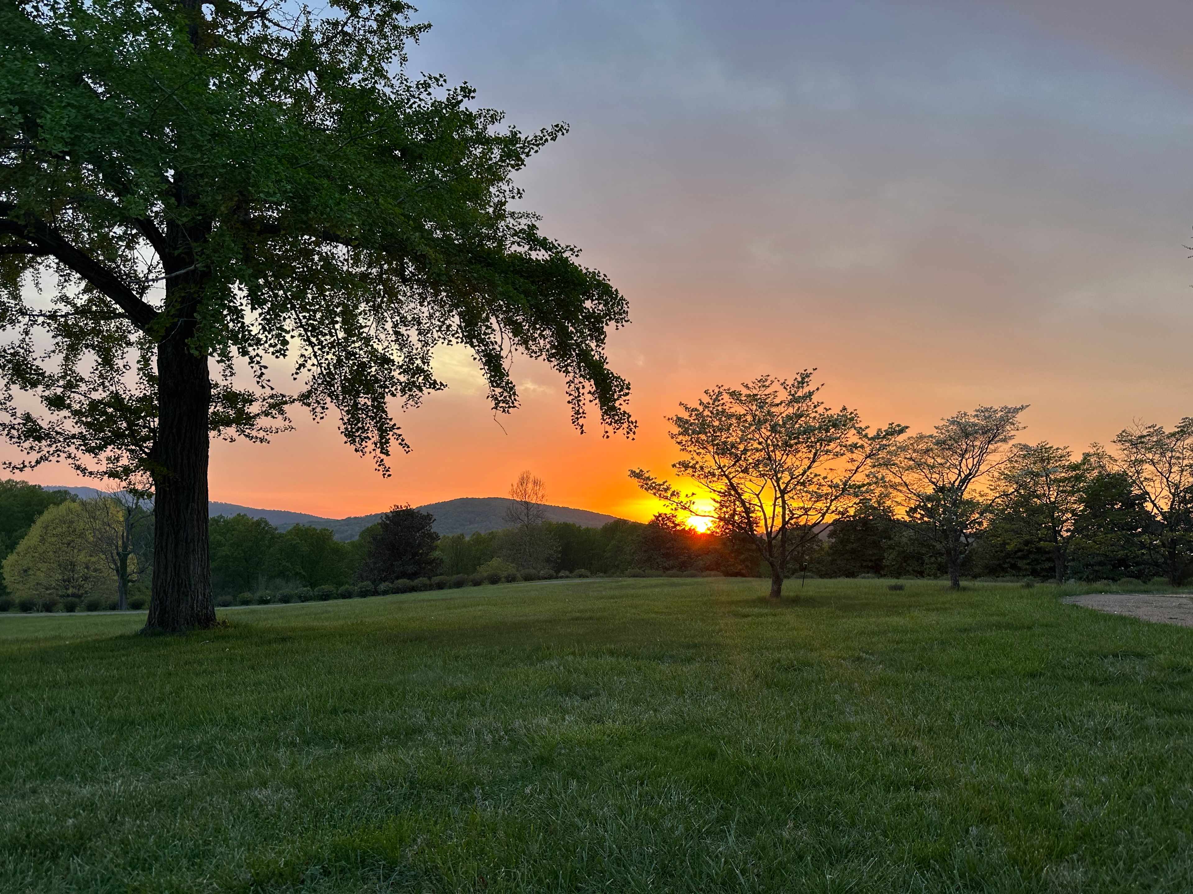 Stunning sunset spot