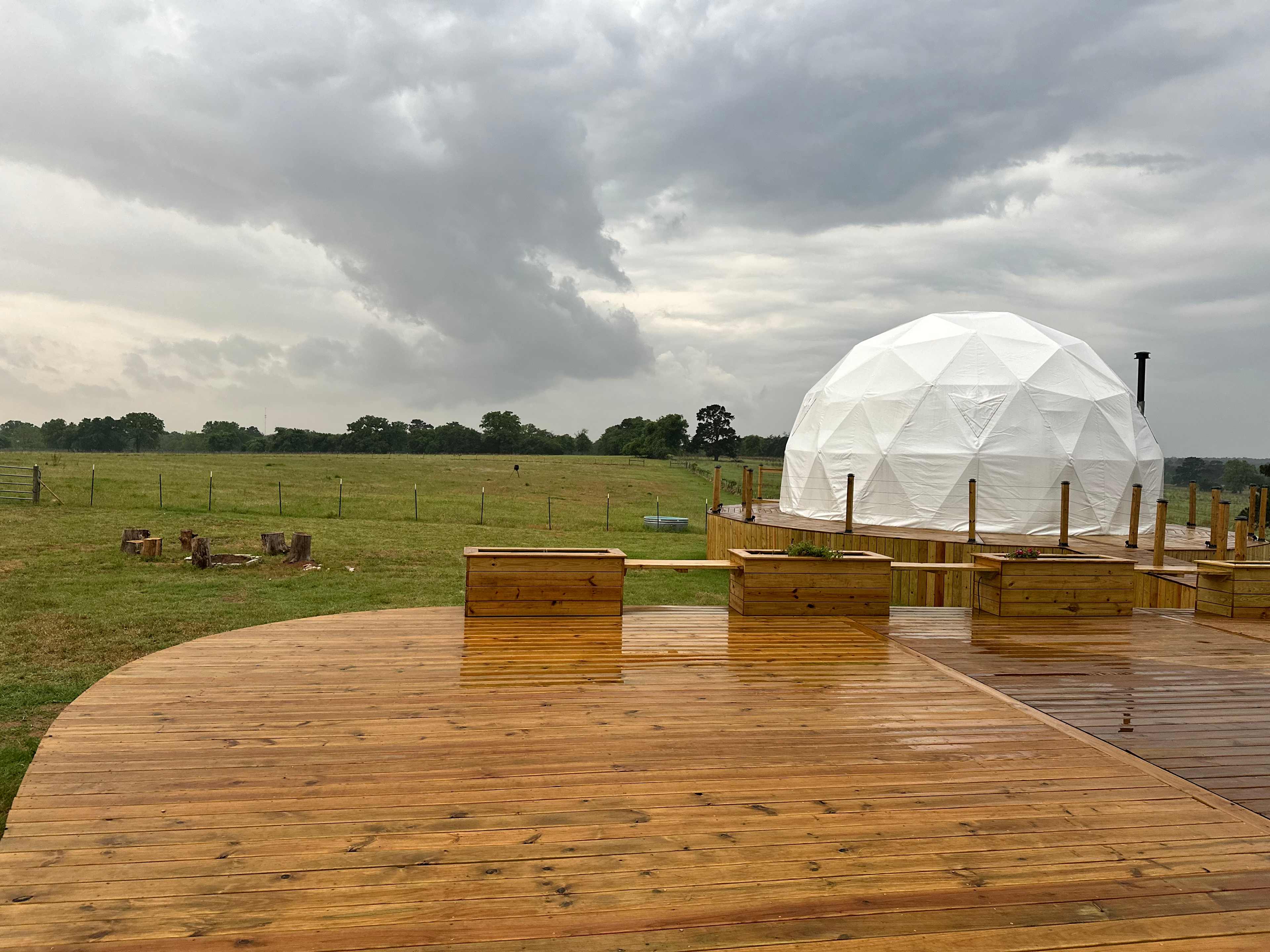The dome