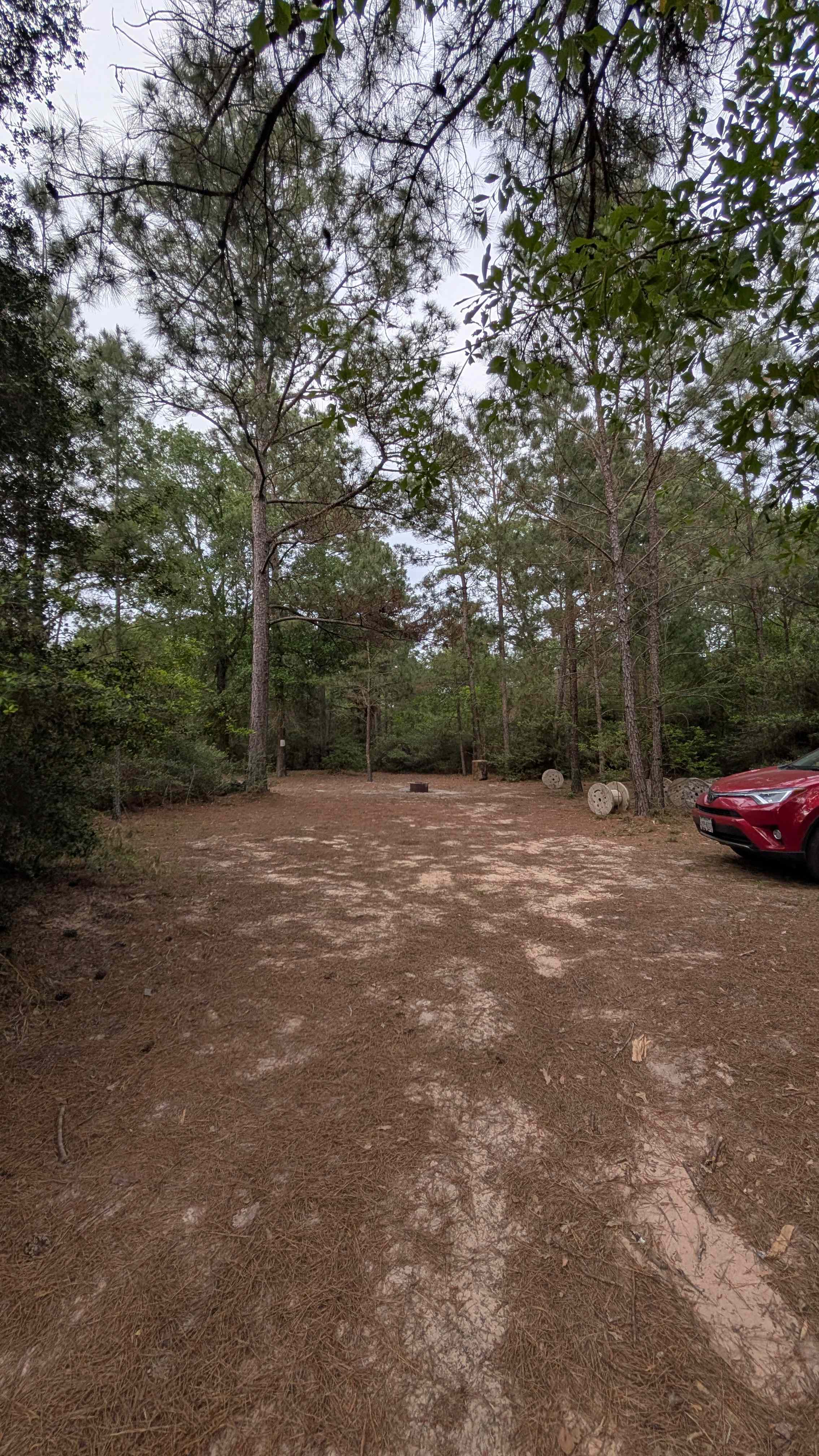 Campsite 9 is spacious 