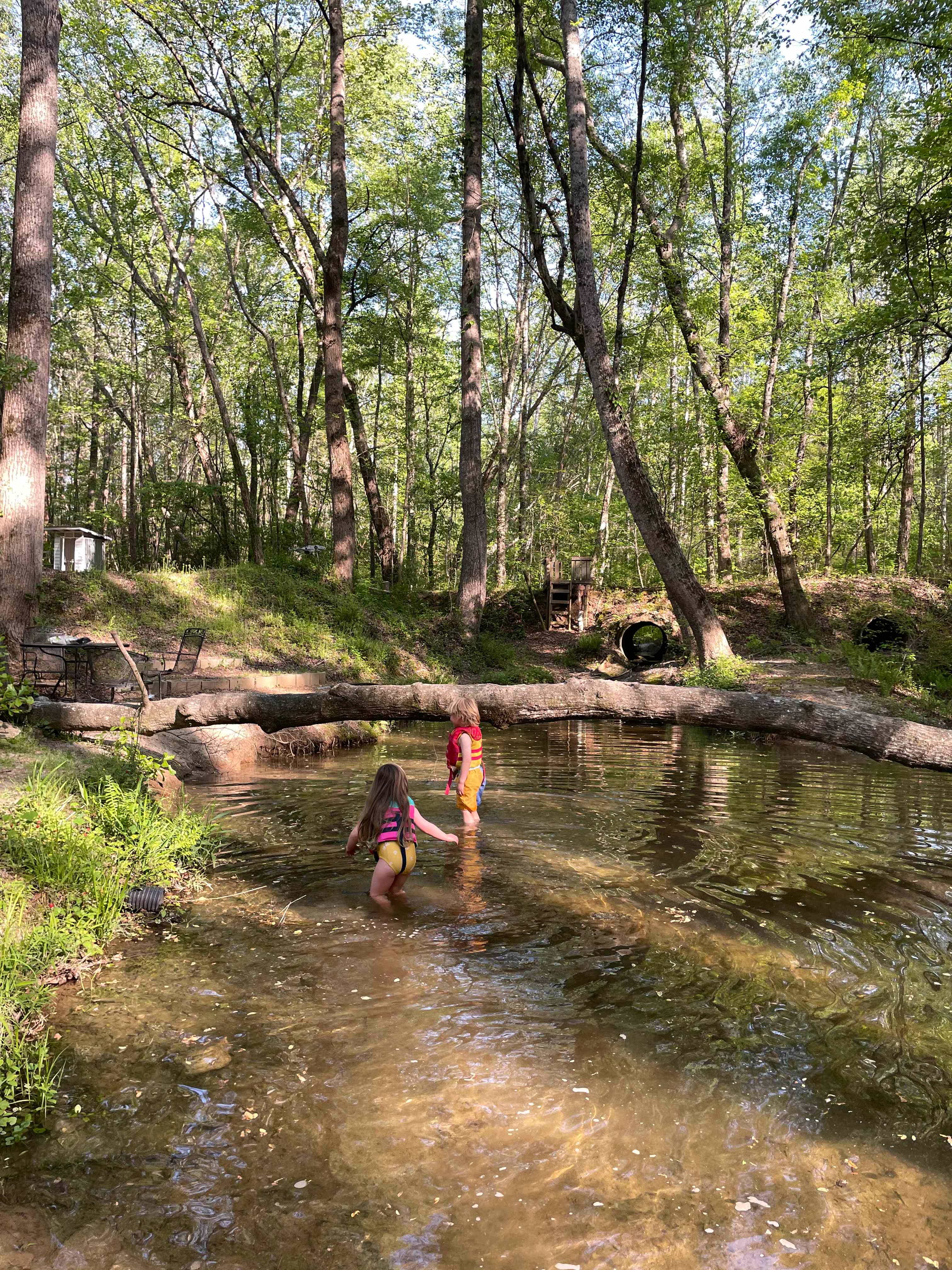 swimming hole 
