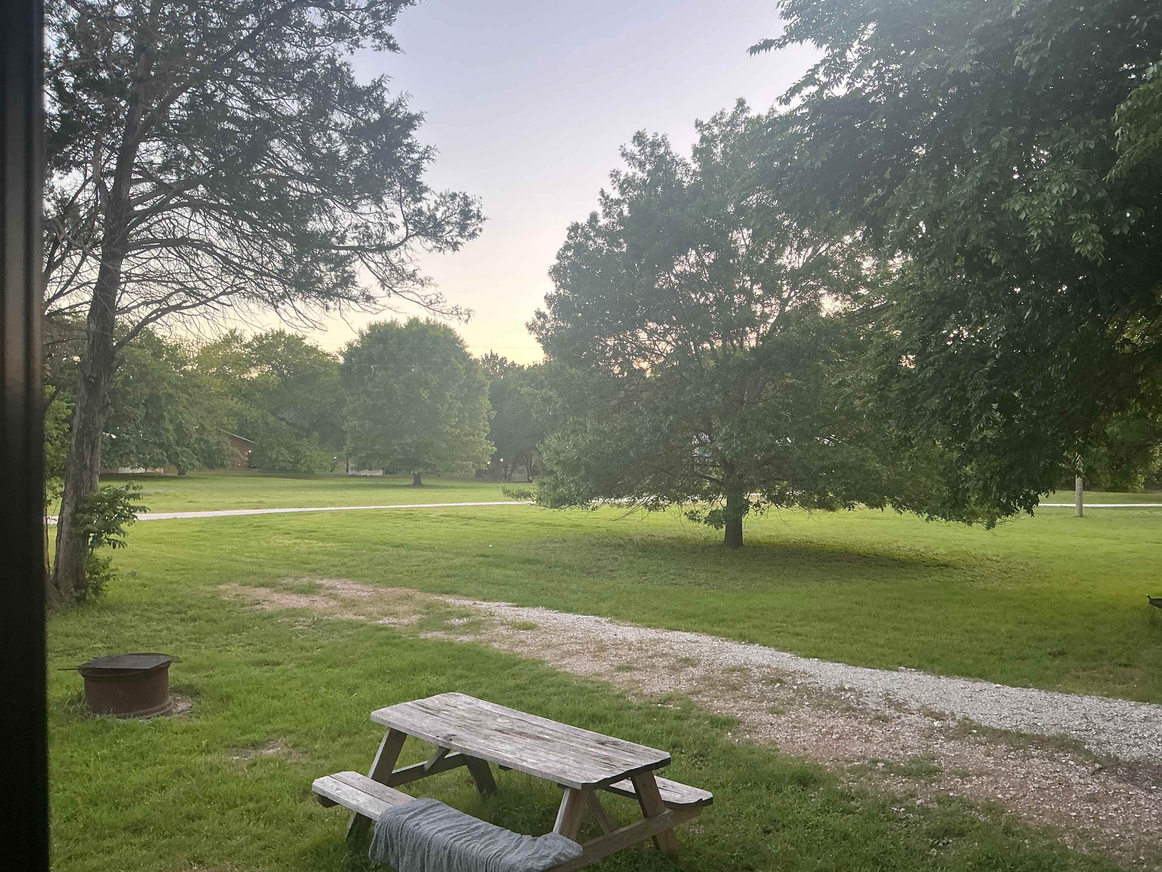 Lots of trees with plenty of shade for a romantic picnic. 