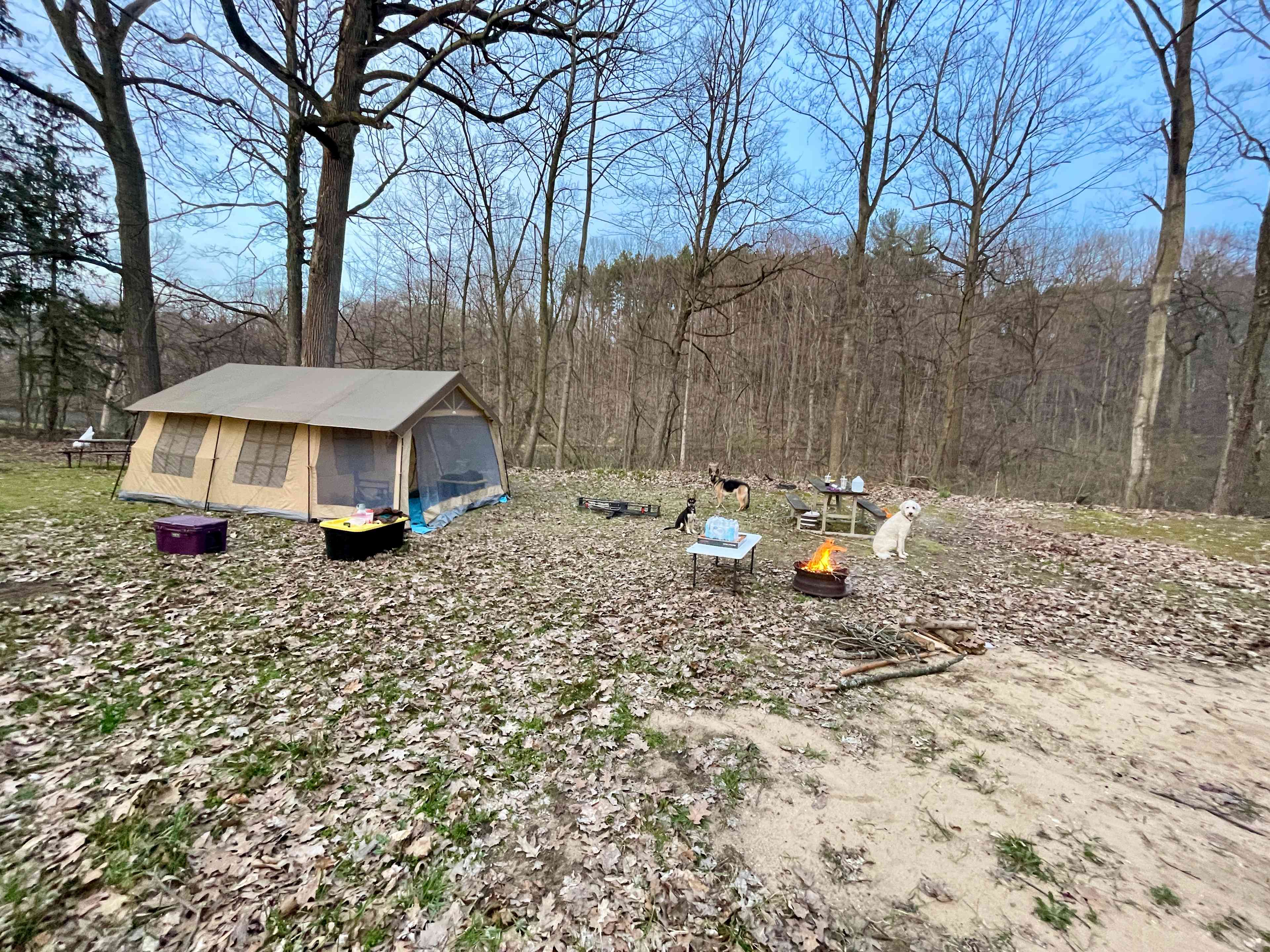 Forest Haven RV Park and Campground