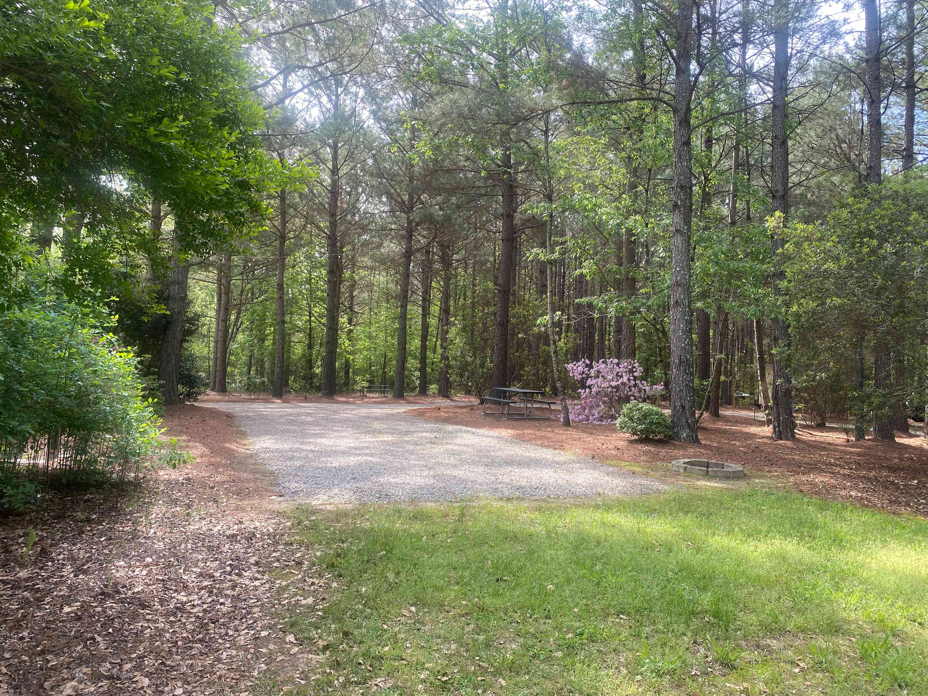 Site 3