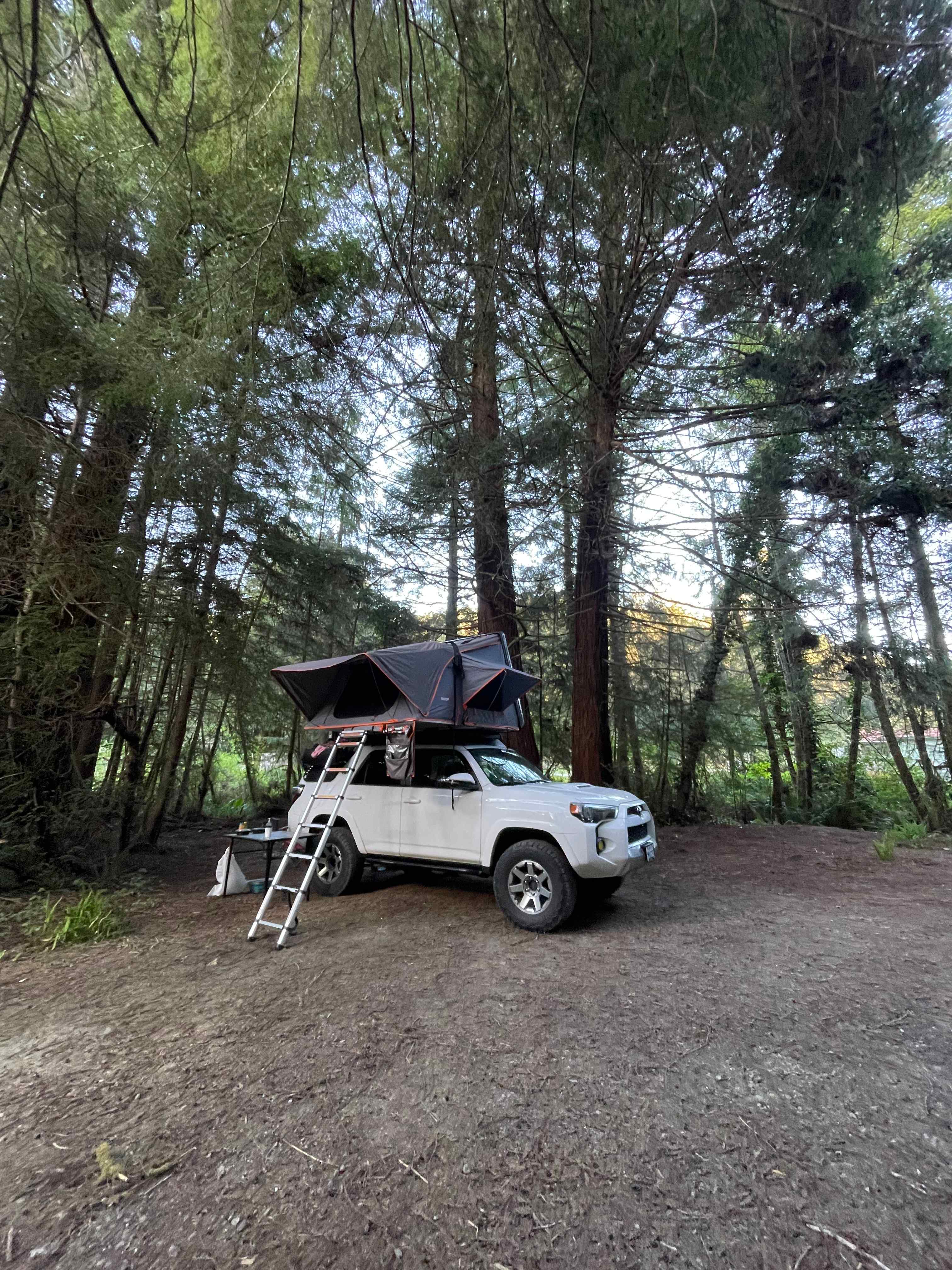 Mystic Forest Campground