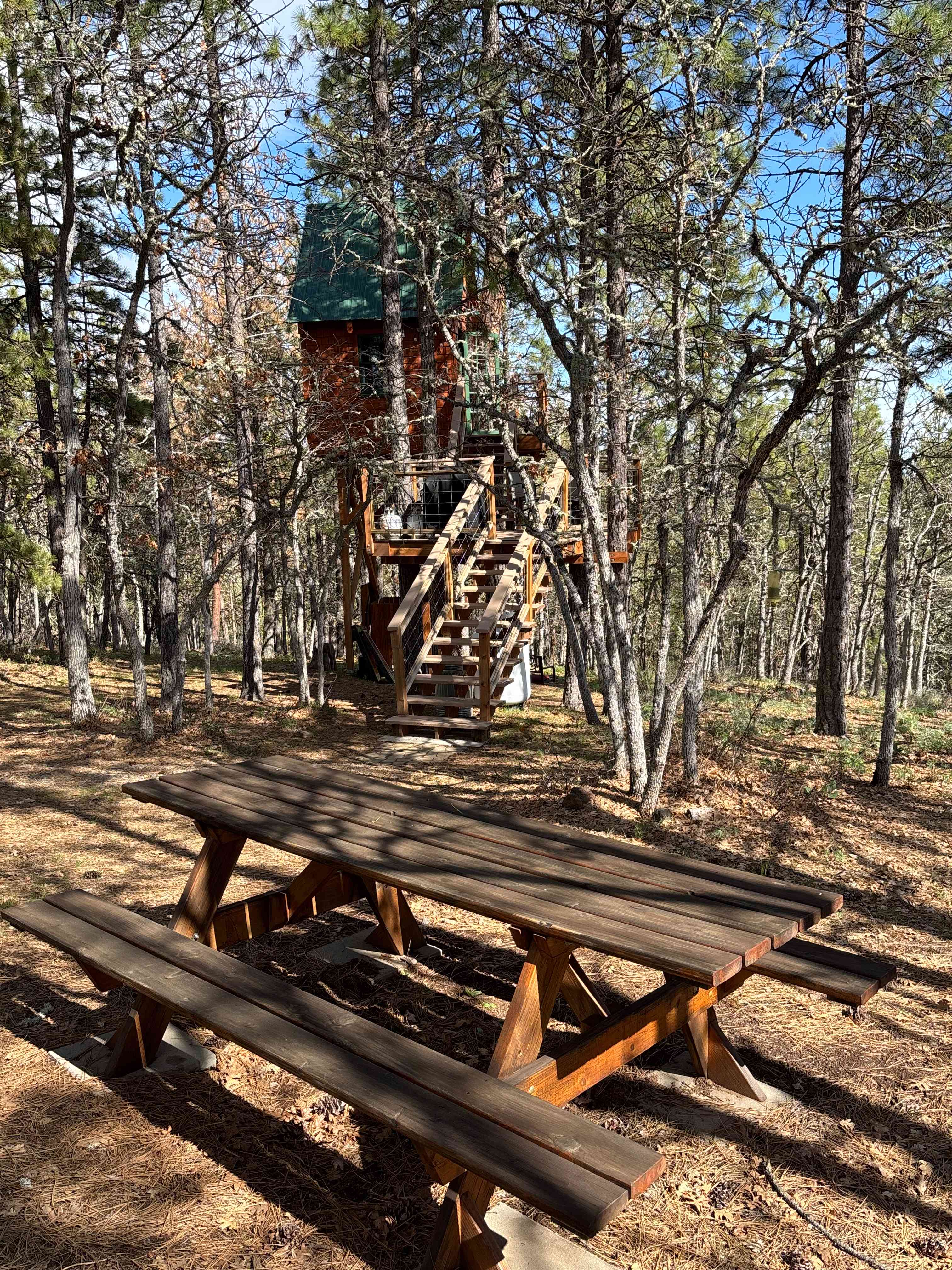 B&B Treehouse Ranch