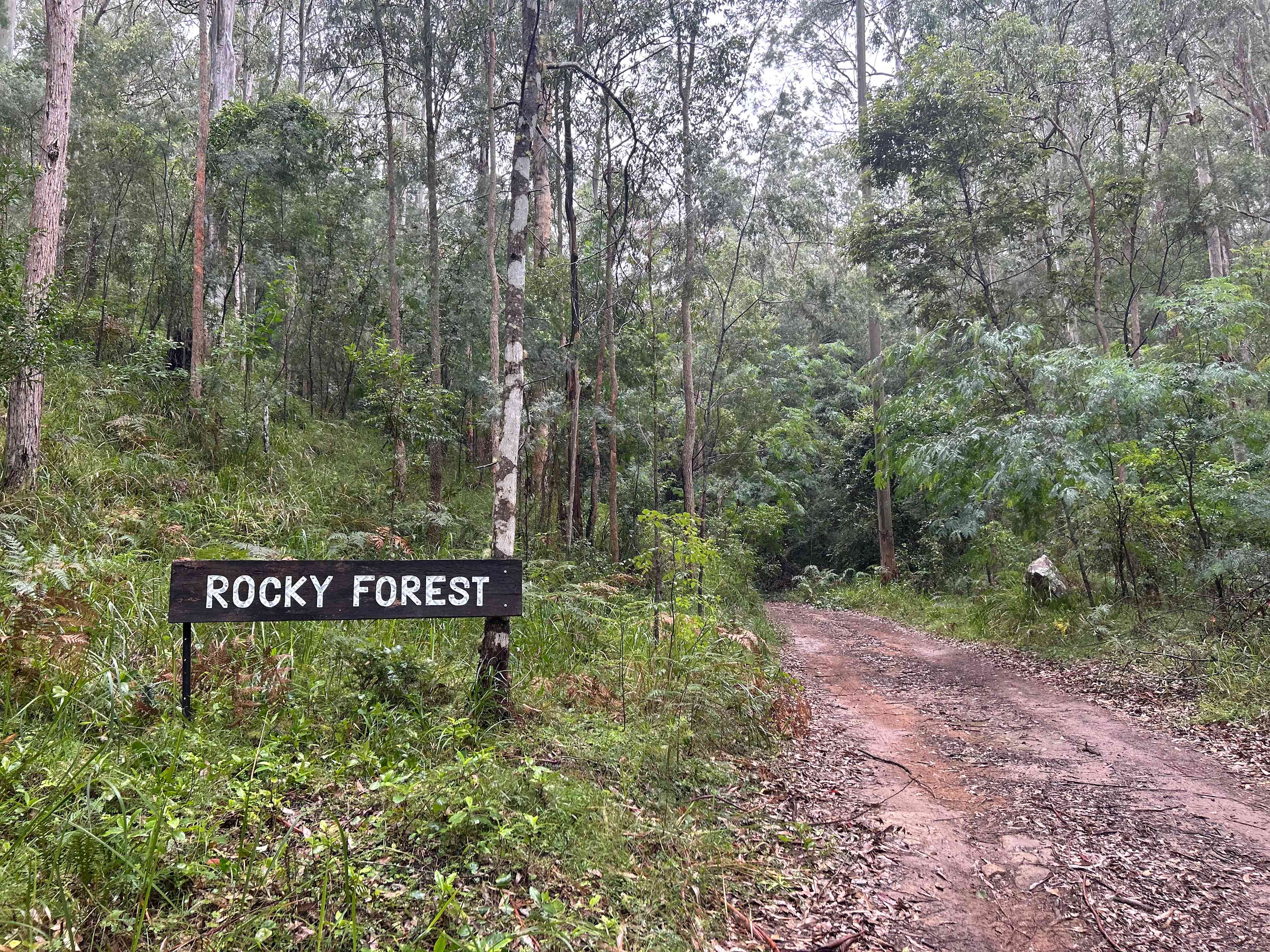 Rocky Forest Bush Retreat