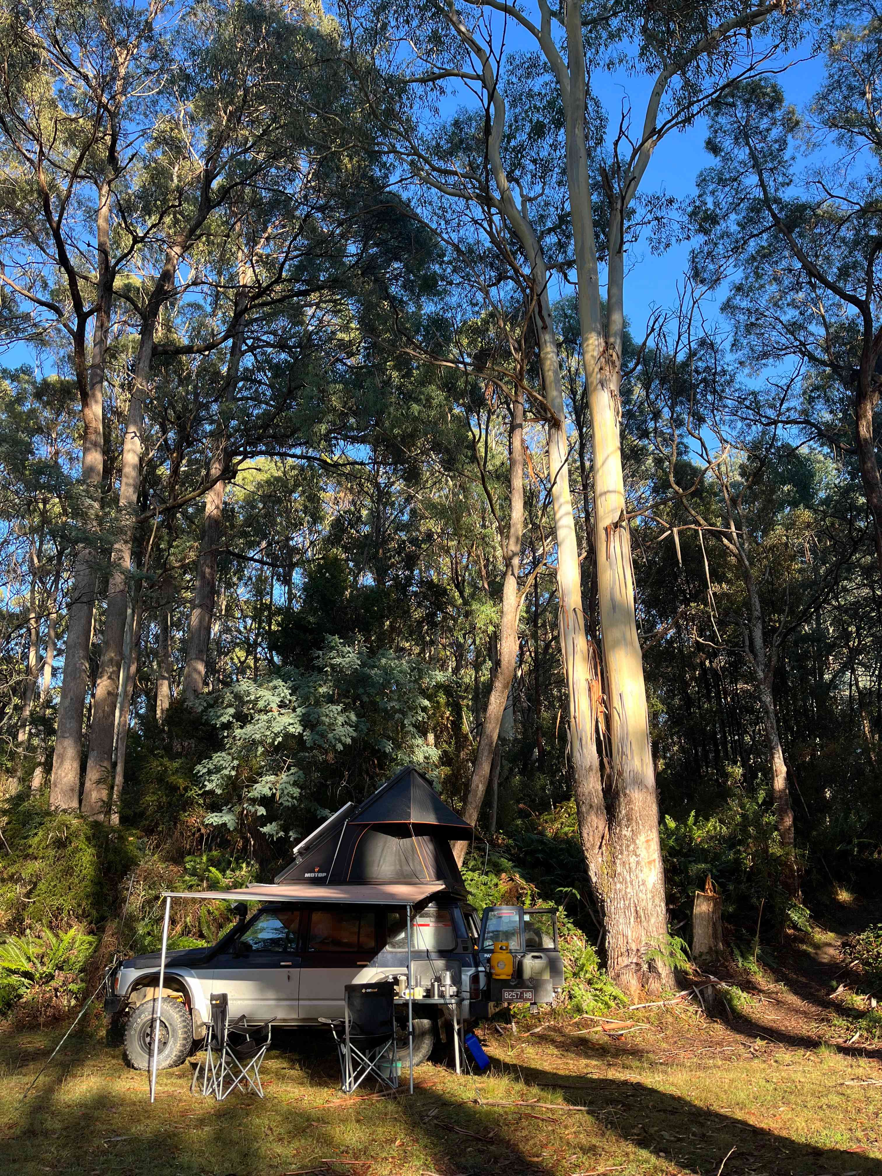 Dale Brook Organics