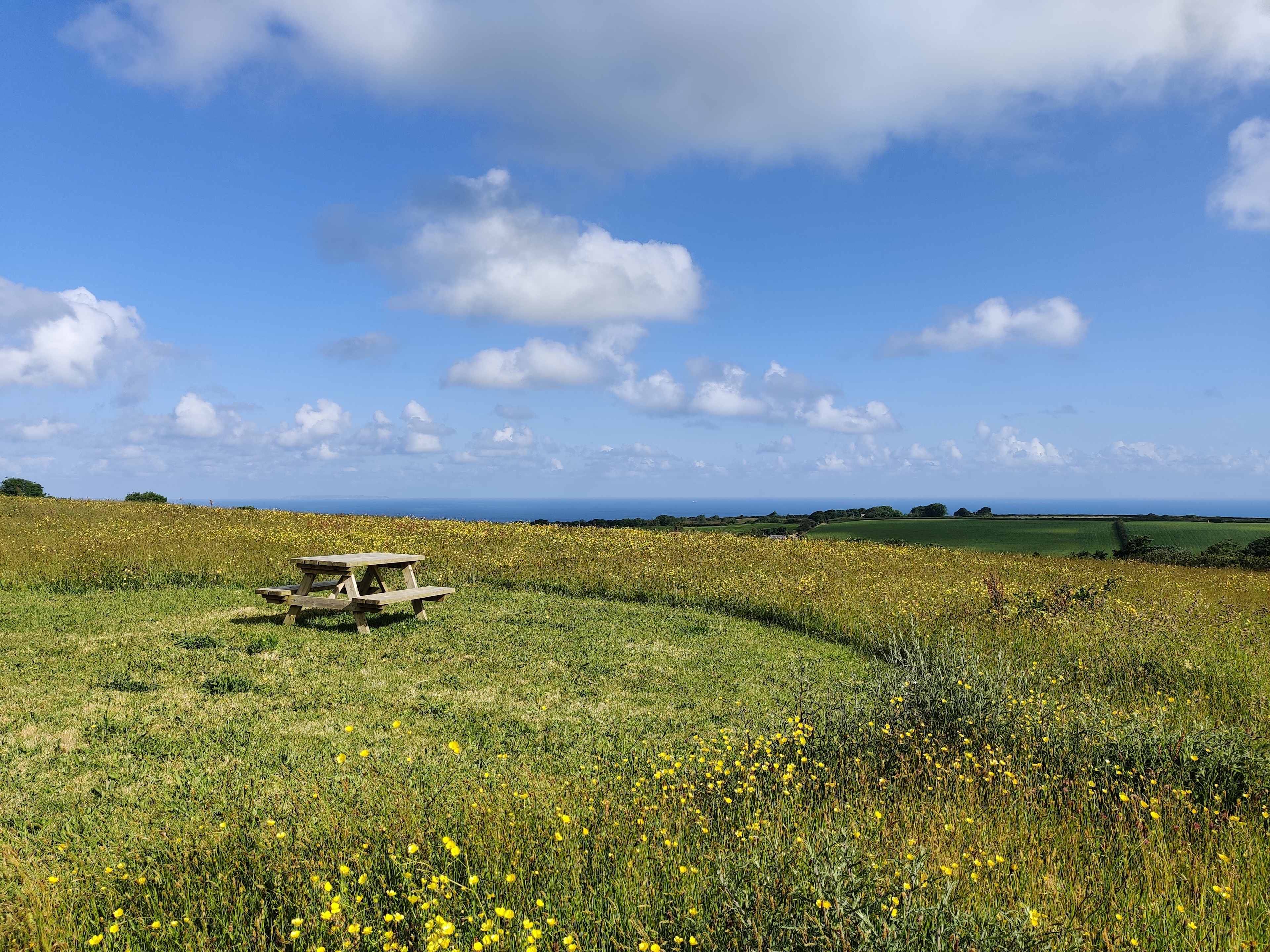 Camp amongst the wildflowers with panoramic sea views