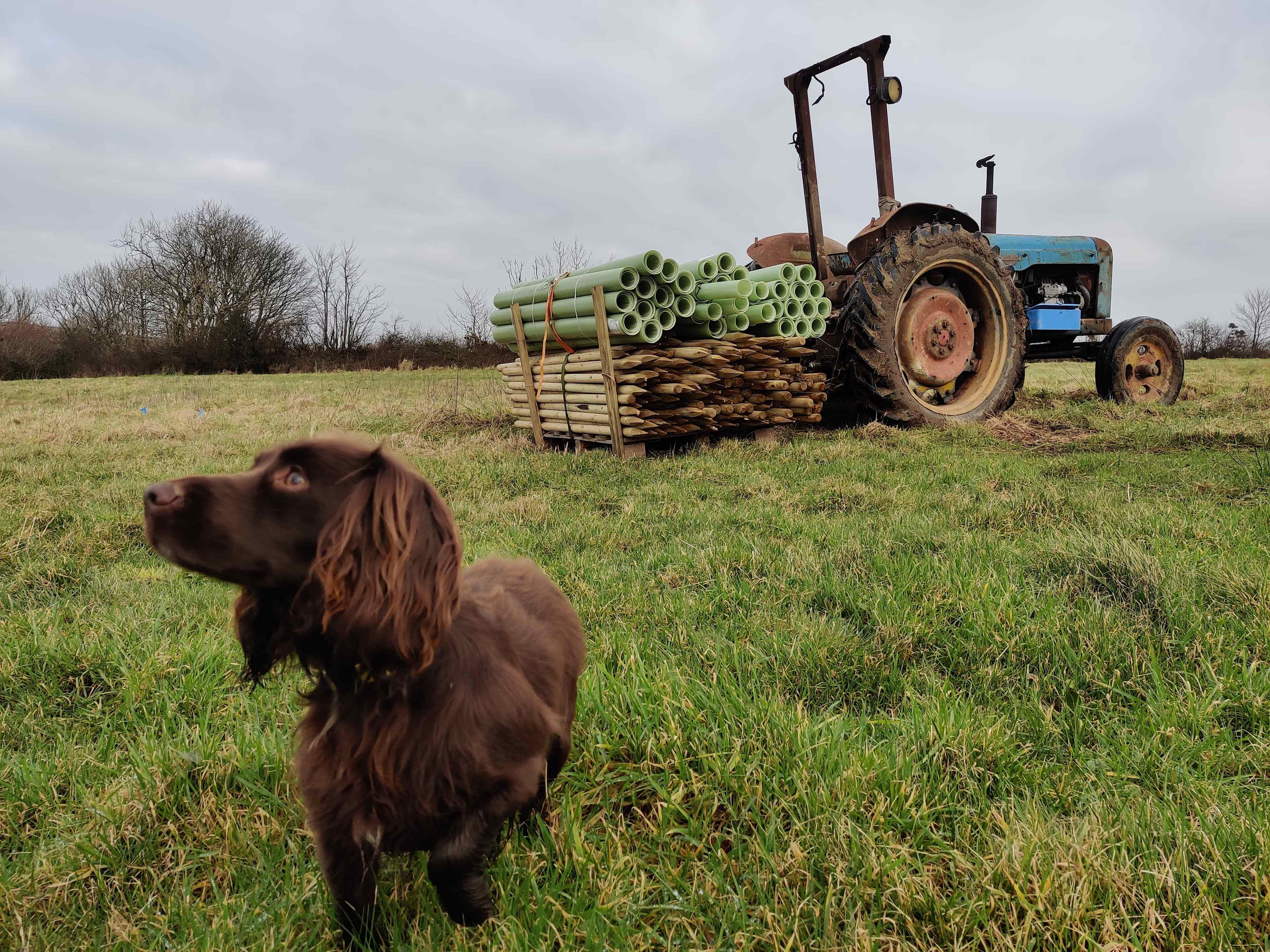 We are dog friendly! And can usually be found working in the fields 