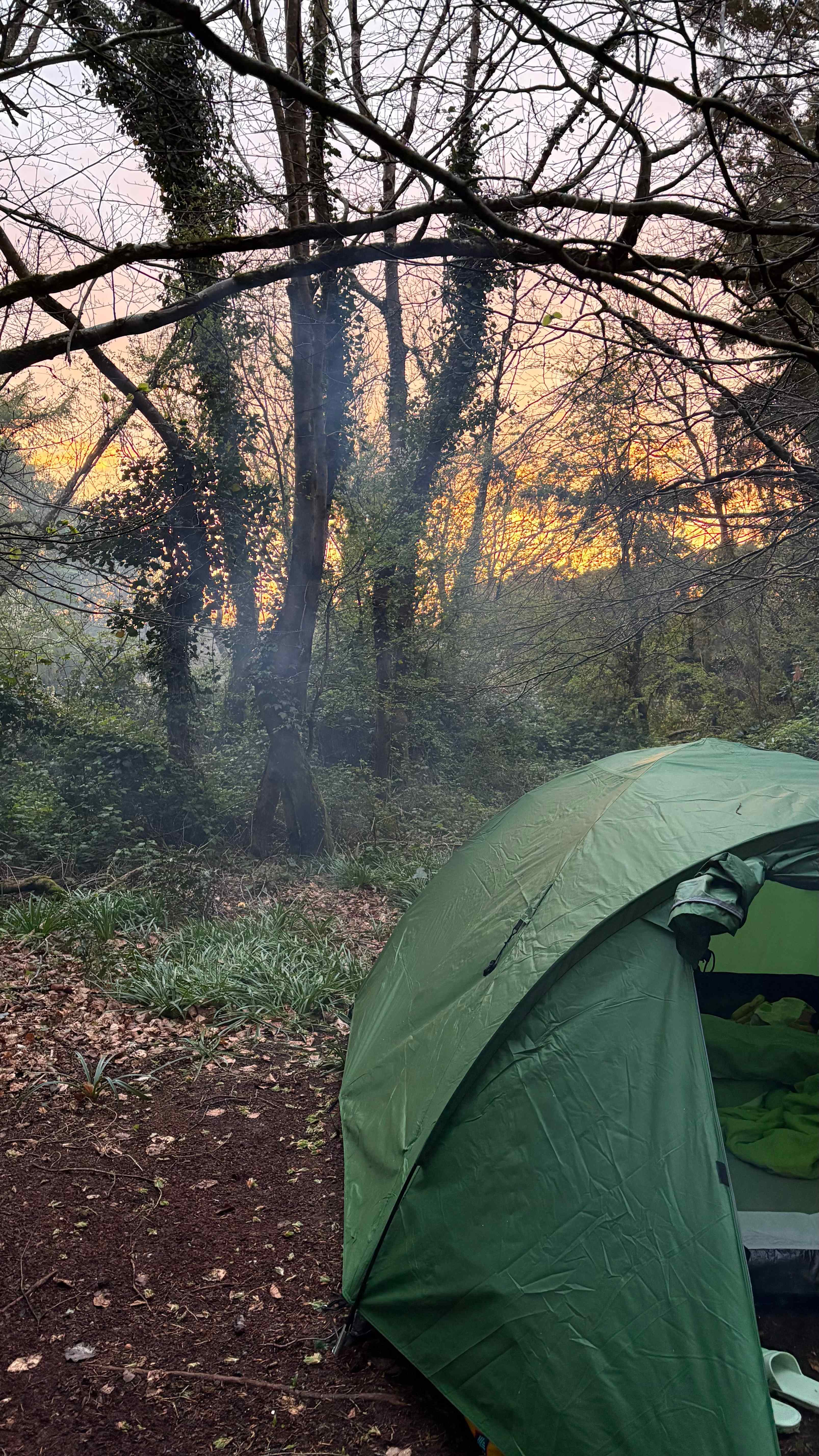 Southover Woods and Camping