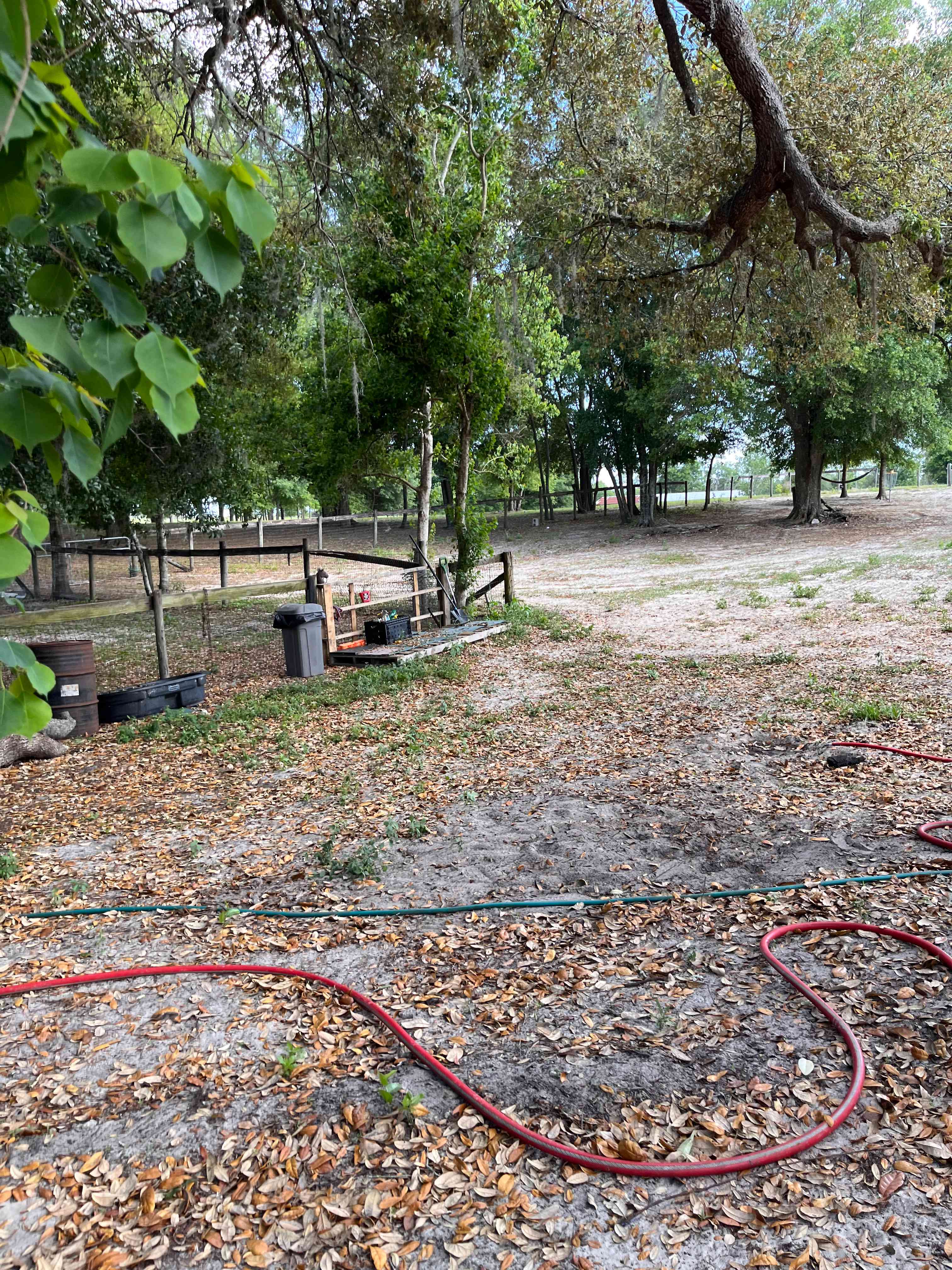 Big Oaks Dog And Horse Camping