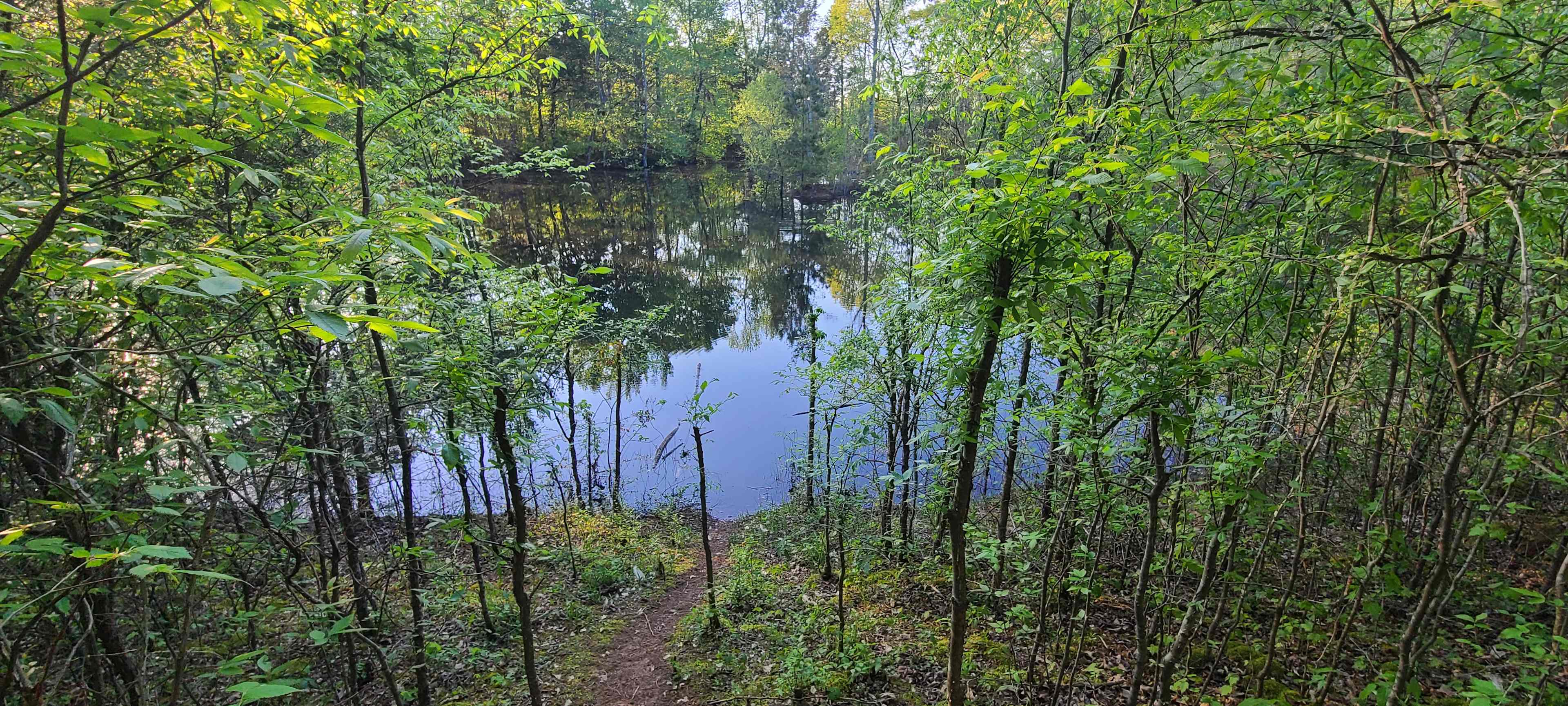 Little lake hidden away
