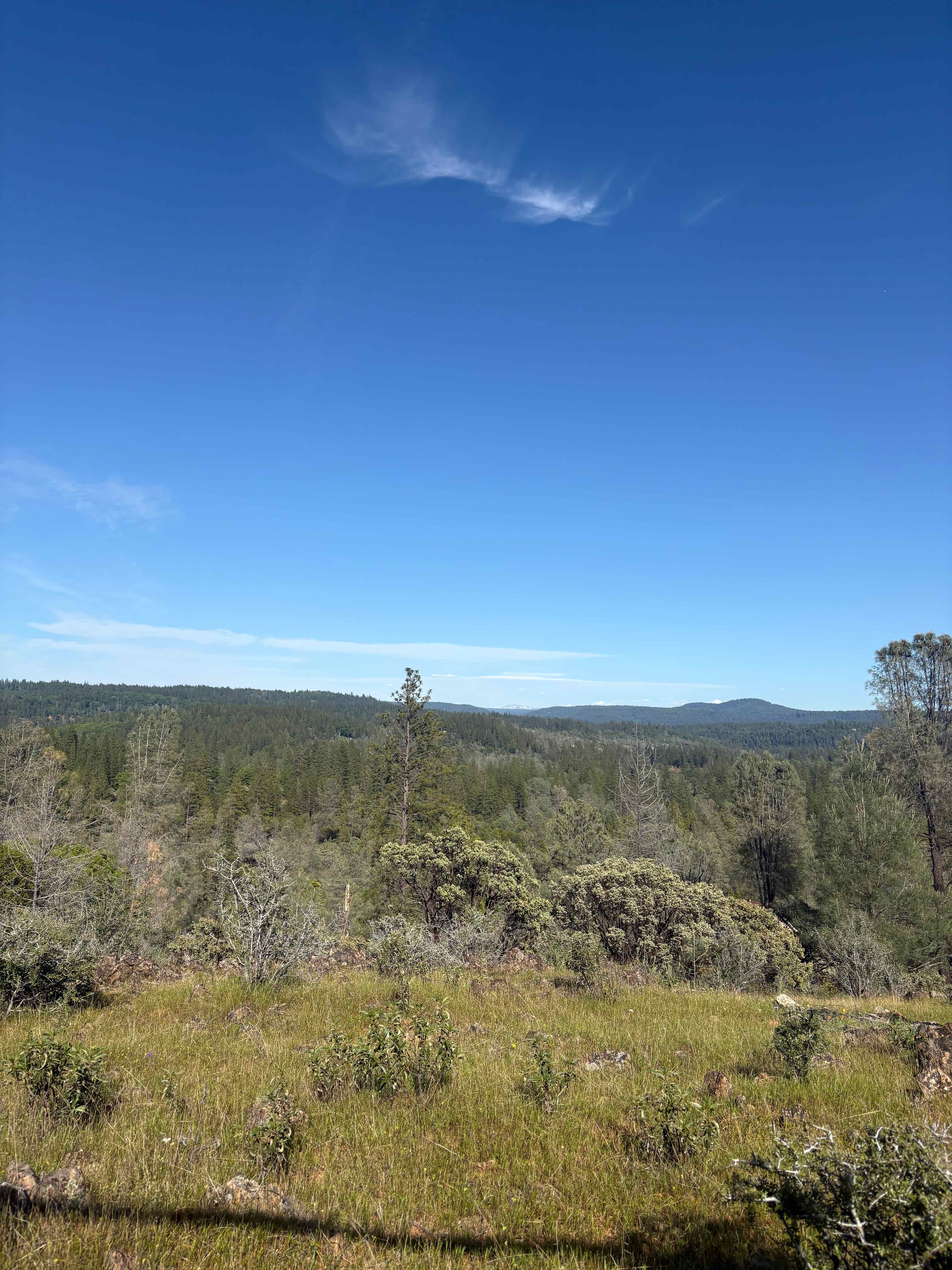 View from the swing at the top of the hill 