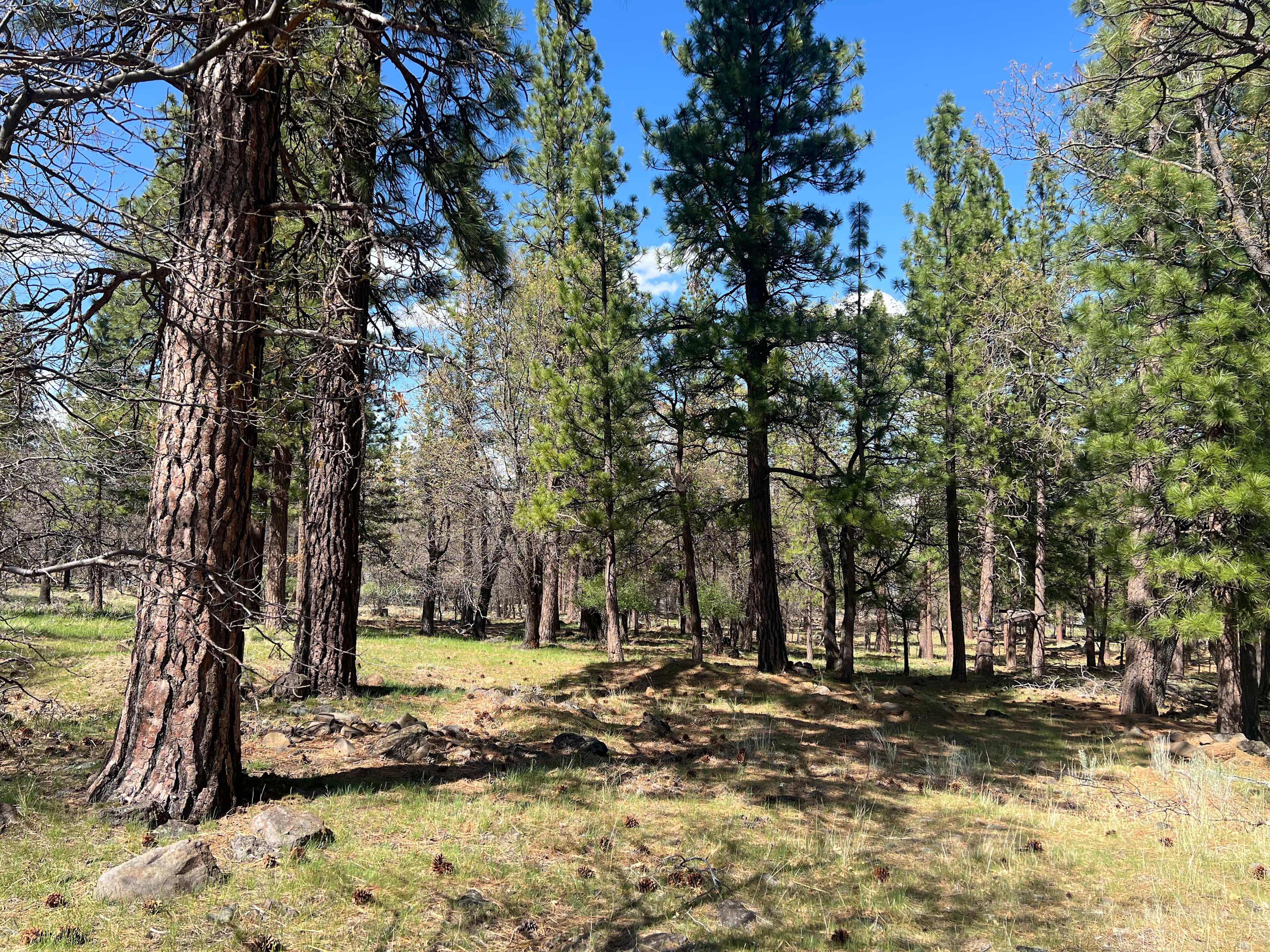 High Desert RV Hideaway