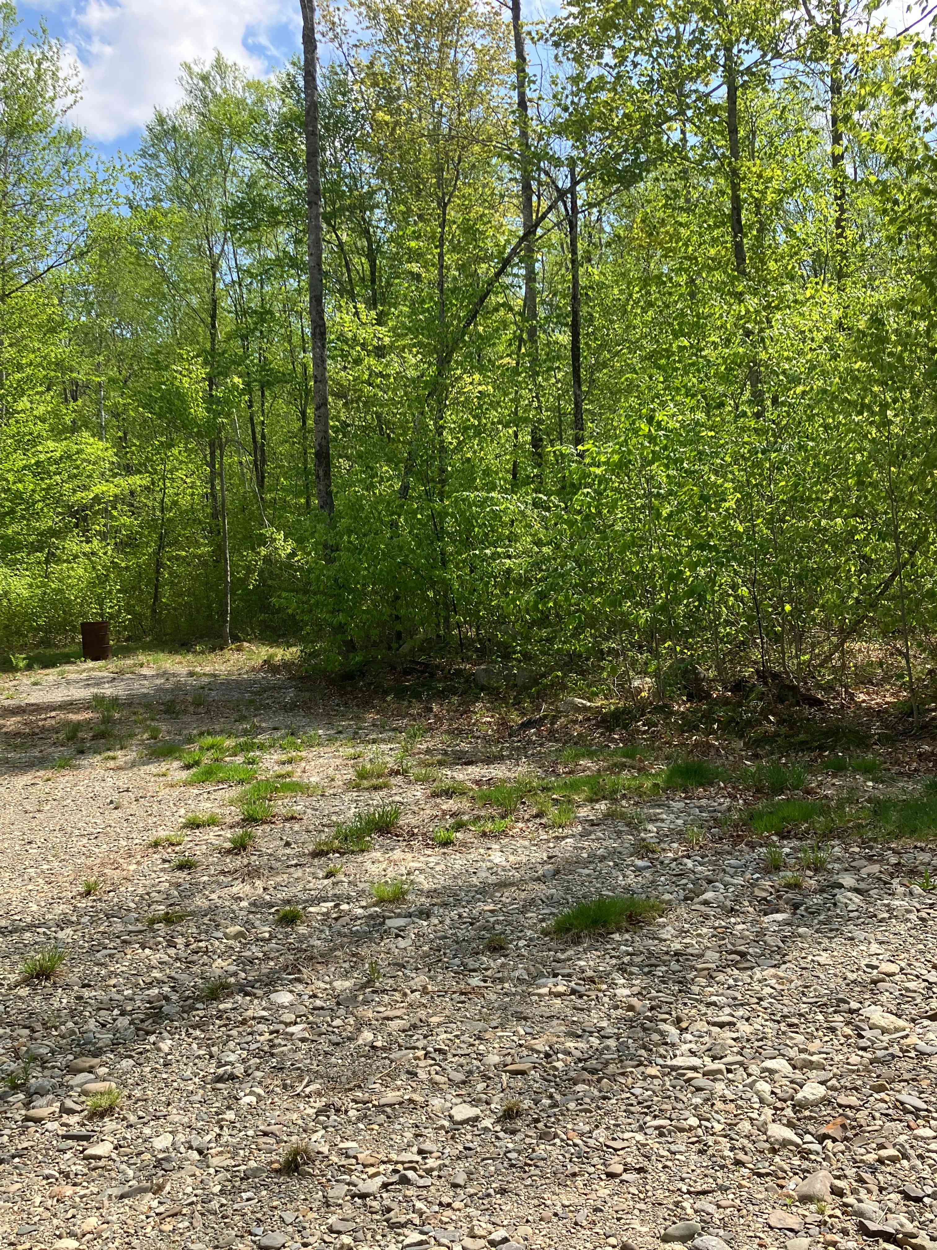 13 Acres/Off Grid/Branch Lake!