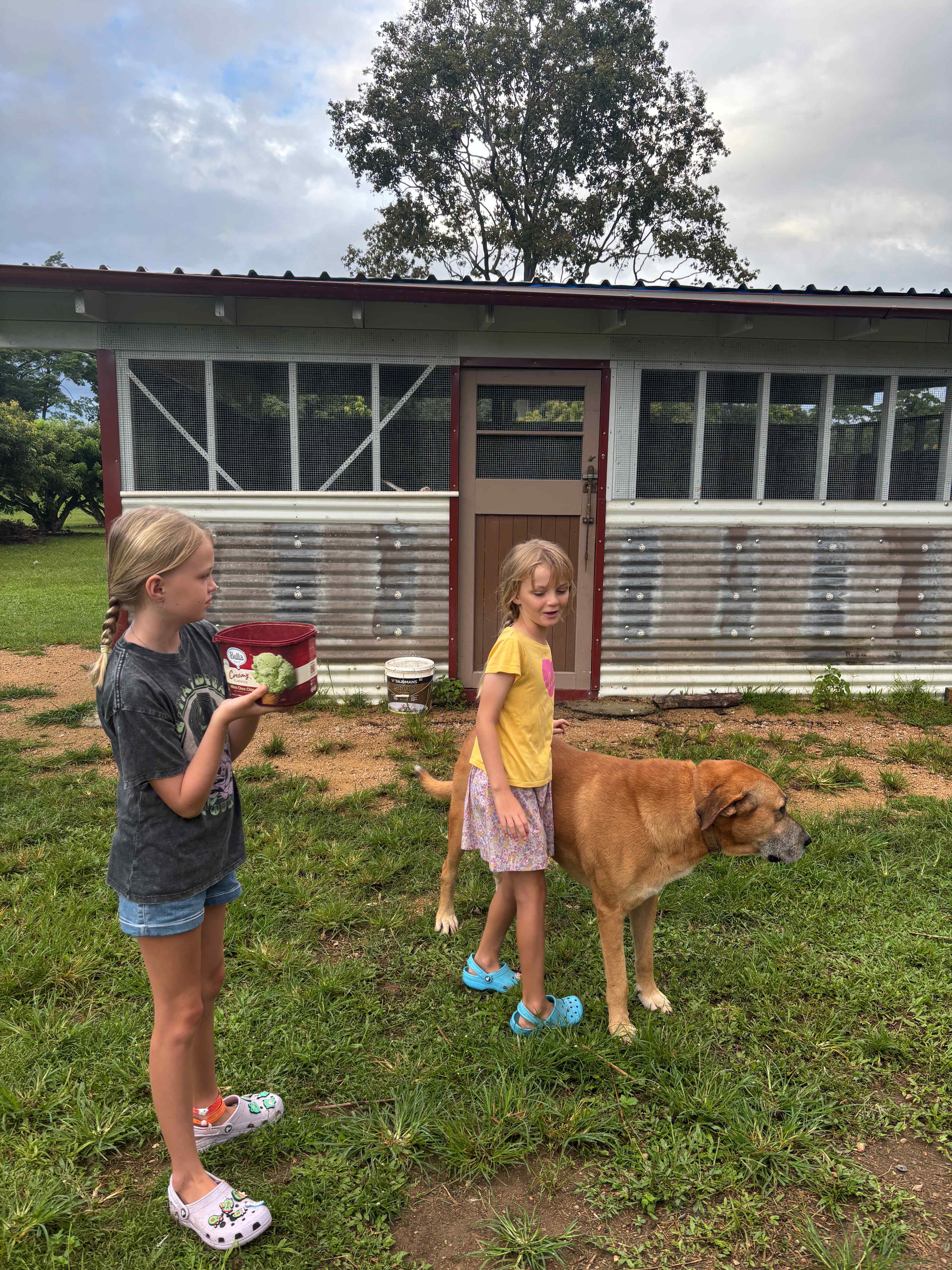 Big friend dog