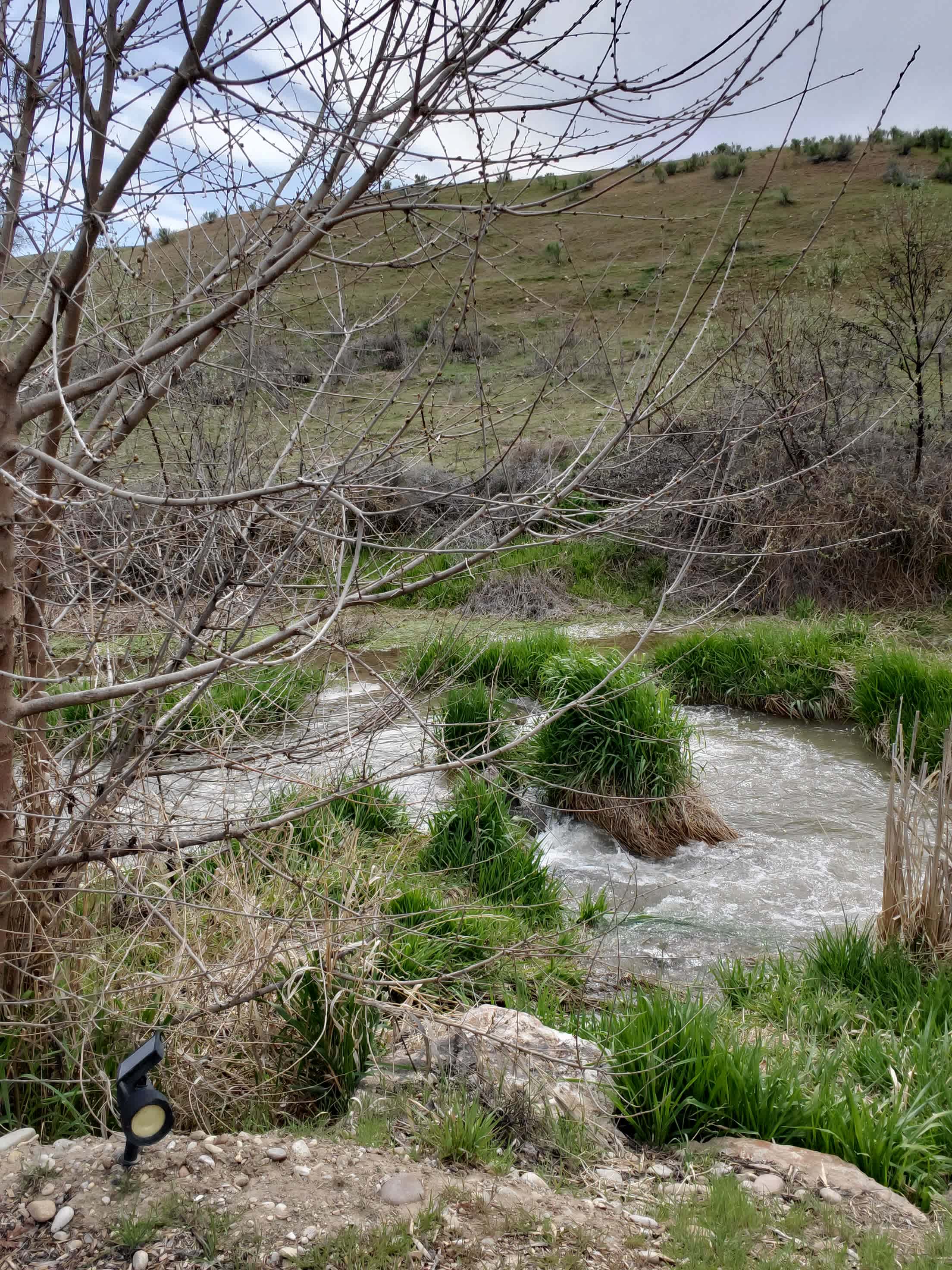 Cagle Cove