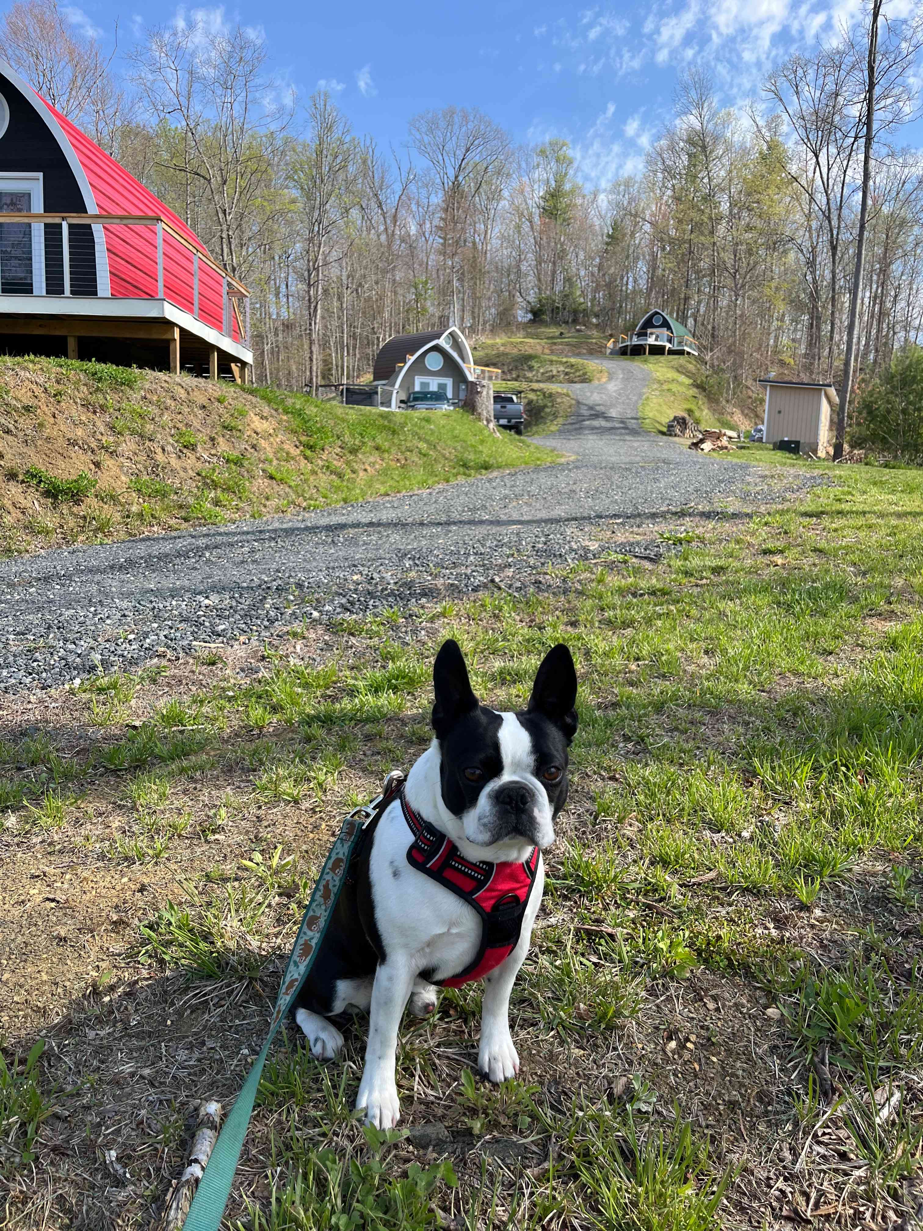 Romantic, hot tub, pet friendly