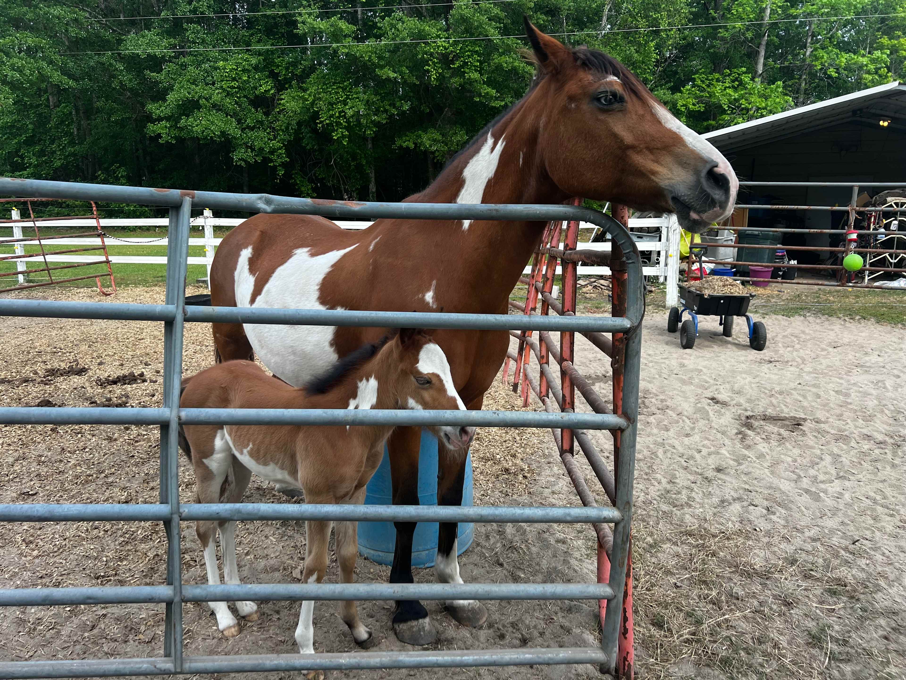 Bowen Farms