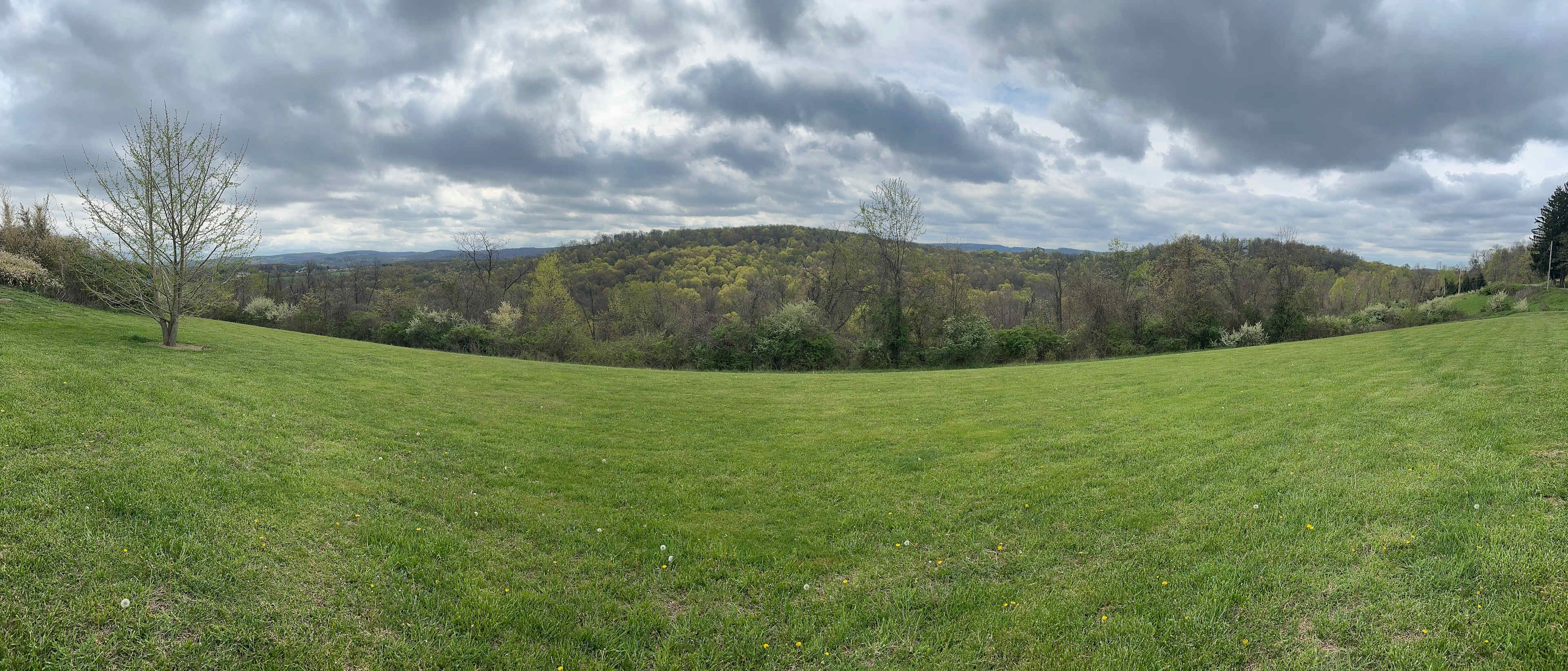 Mountains of Morgantown 💙💛